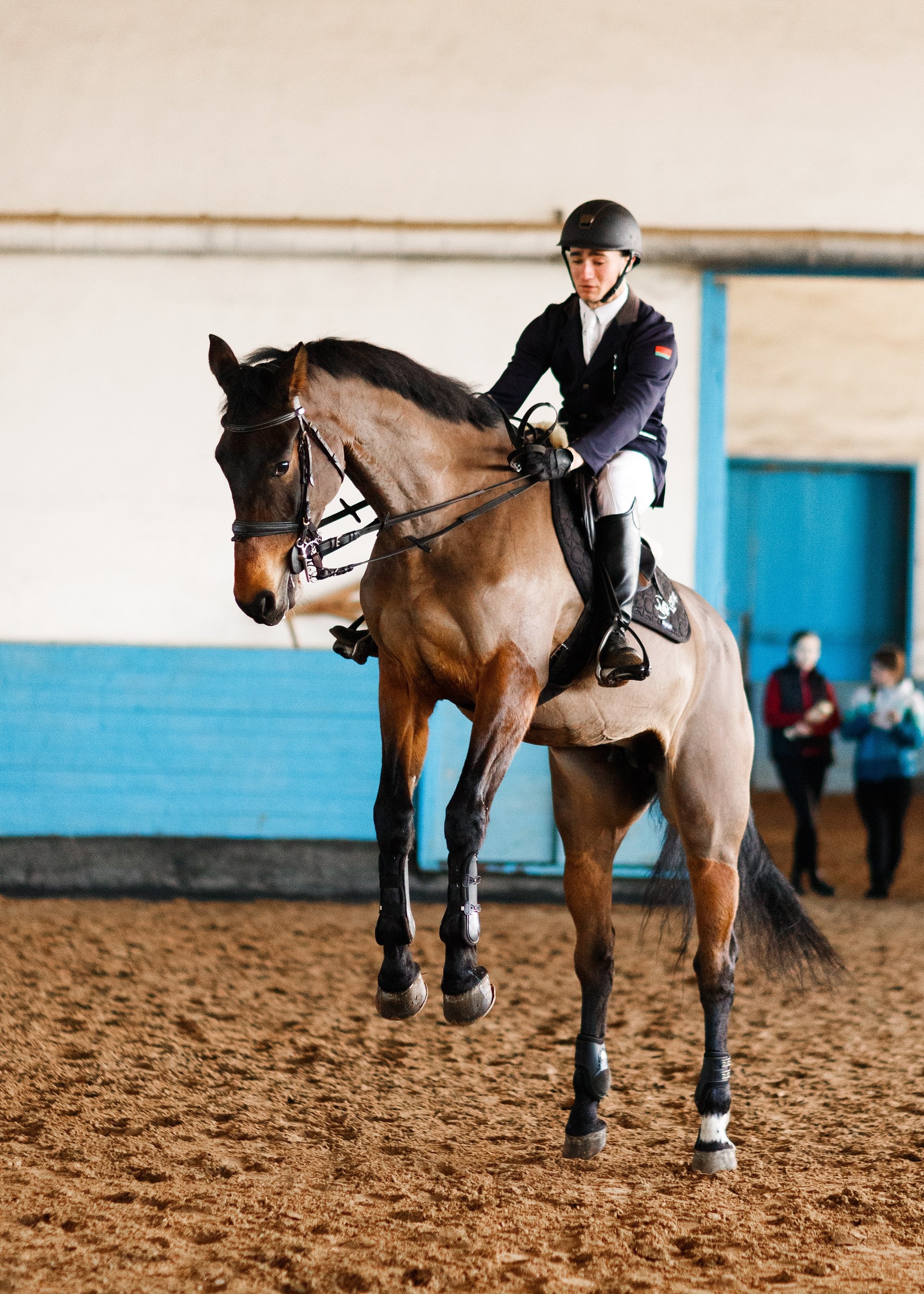 Winter show jumping in «Progress». Kaja | fotograf we Wrocławiu | ludzie i psy
