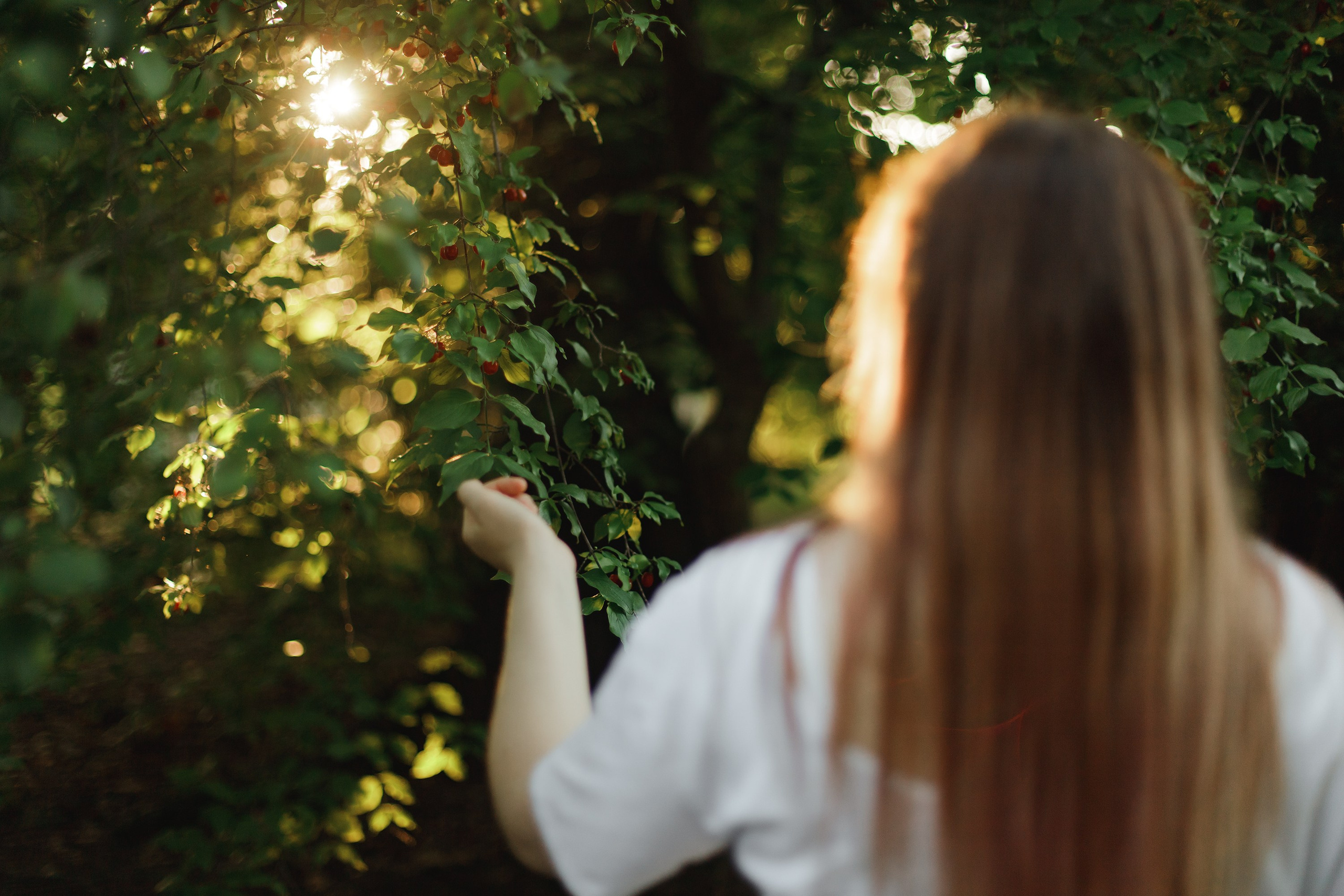 Nadya. Kaja | fotograf psów we Wrocławiu