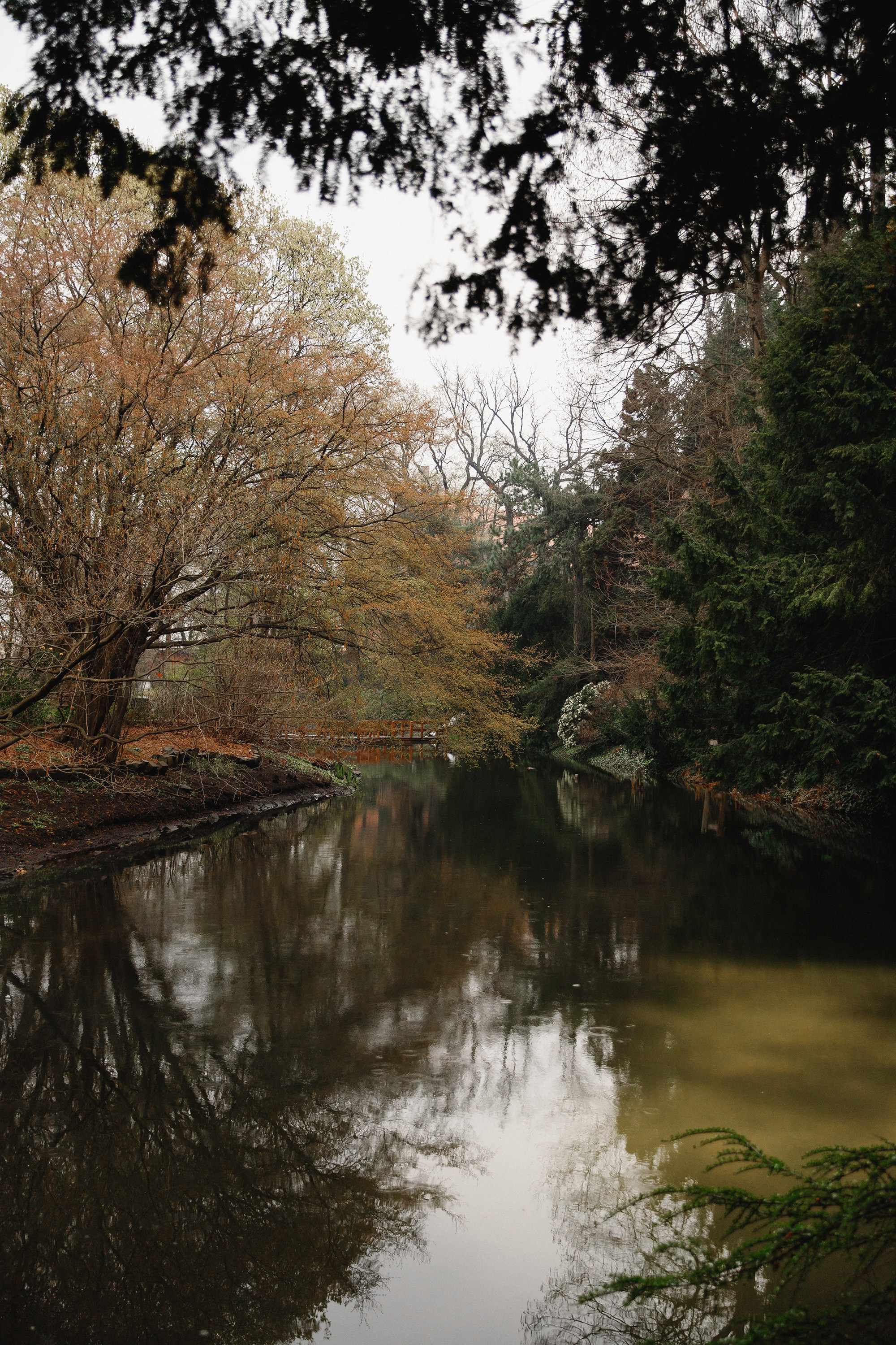 Botanical garden in Wroclaw. Kaja | fotograf we Wrocławiu | ludzie i psy