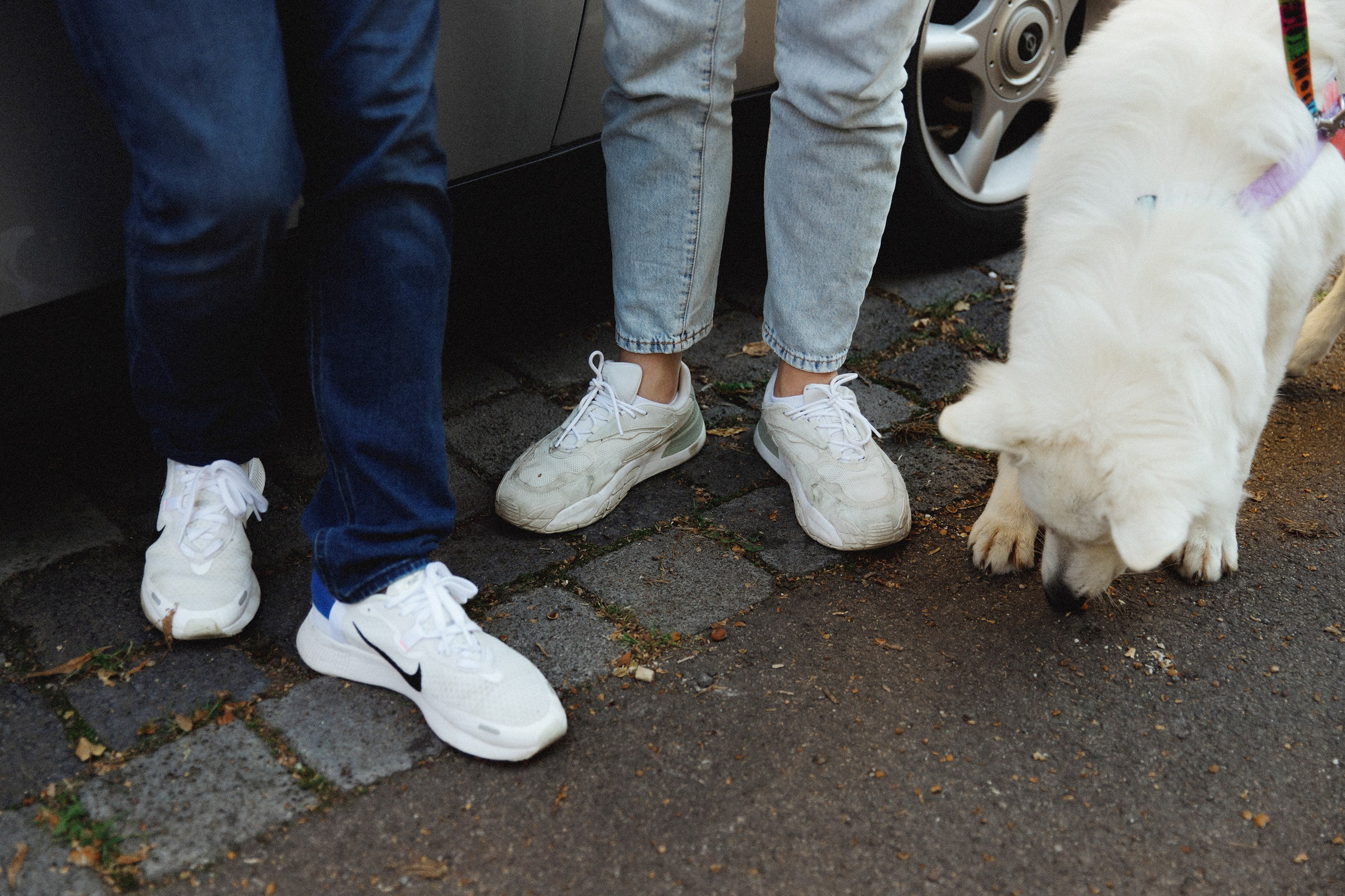 Astra in Leipzig. Kaja | fotograf we Wrocławiu | ludzie i psy