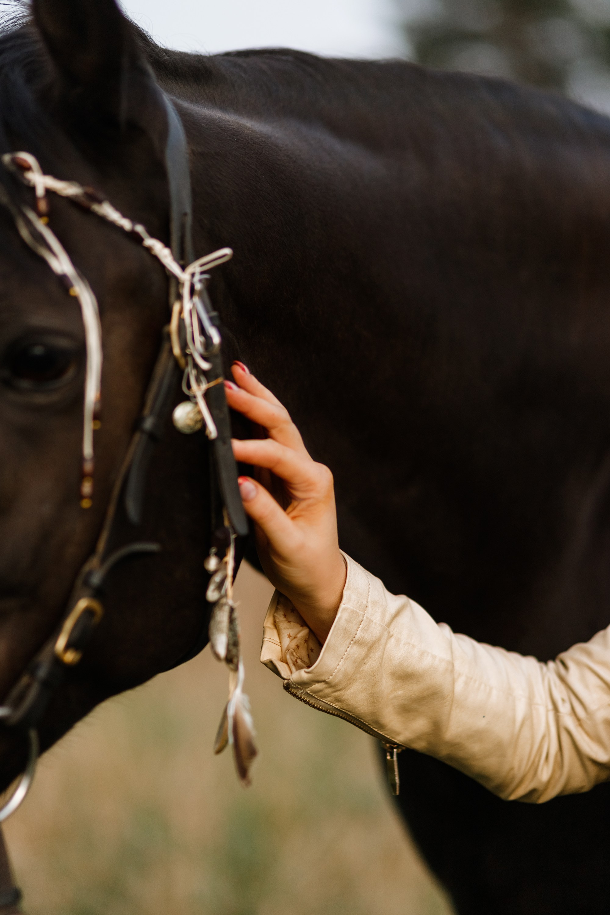 Victoria & her horses, autumn. Kaja | fotograf psów we Wrocławiu