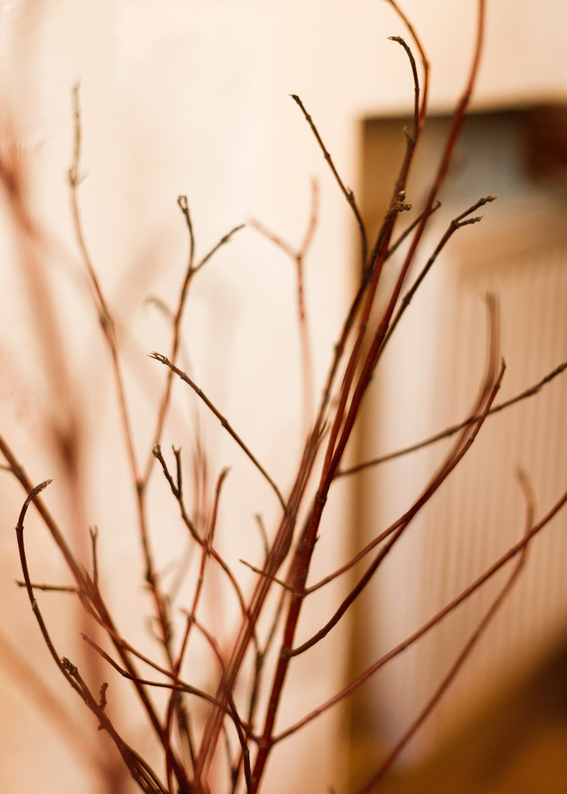 Psychologist blog content. Kaja | fotograf we Wrocławiu | ludzie i psy