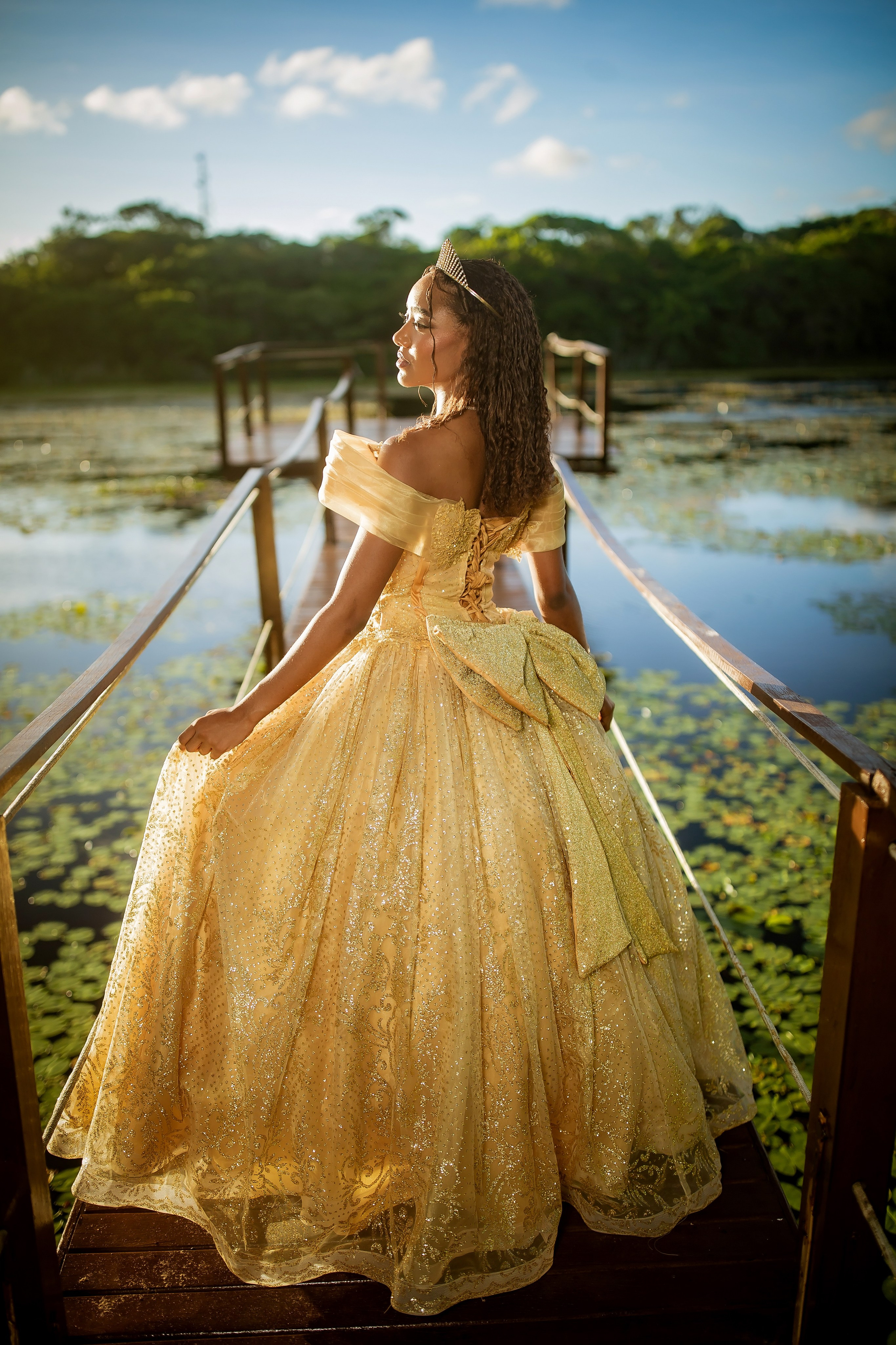 Ensaio XV anos — Yasmin (tema princesa tiana). Flavio Nunes Fotografia (Fotografo especializado em Fotografia de 15 Anos e Ensaios)