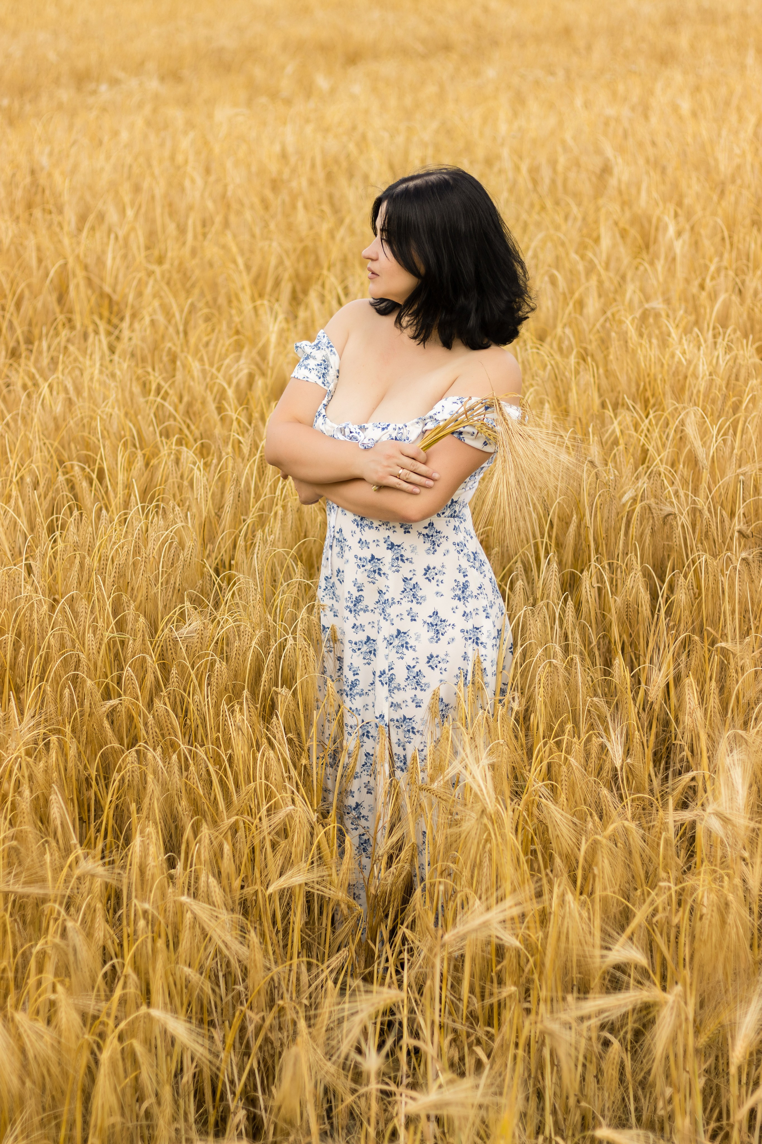 Фотосессия в пшеничном поле. Фотограф / Даугавпилс