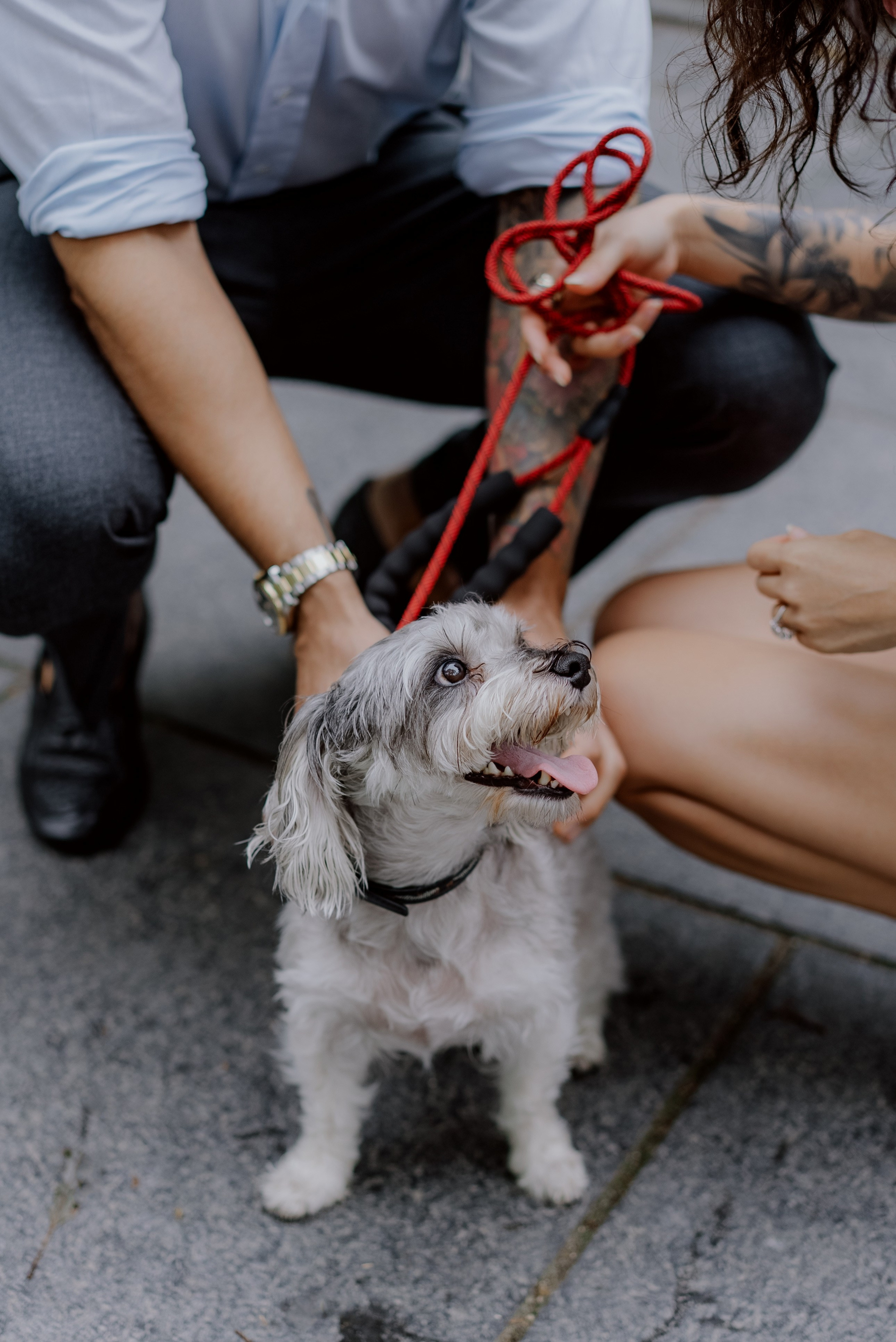 Love in the city. Videographer and photographer in New York // MAKAROV.VIDEO
