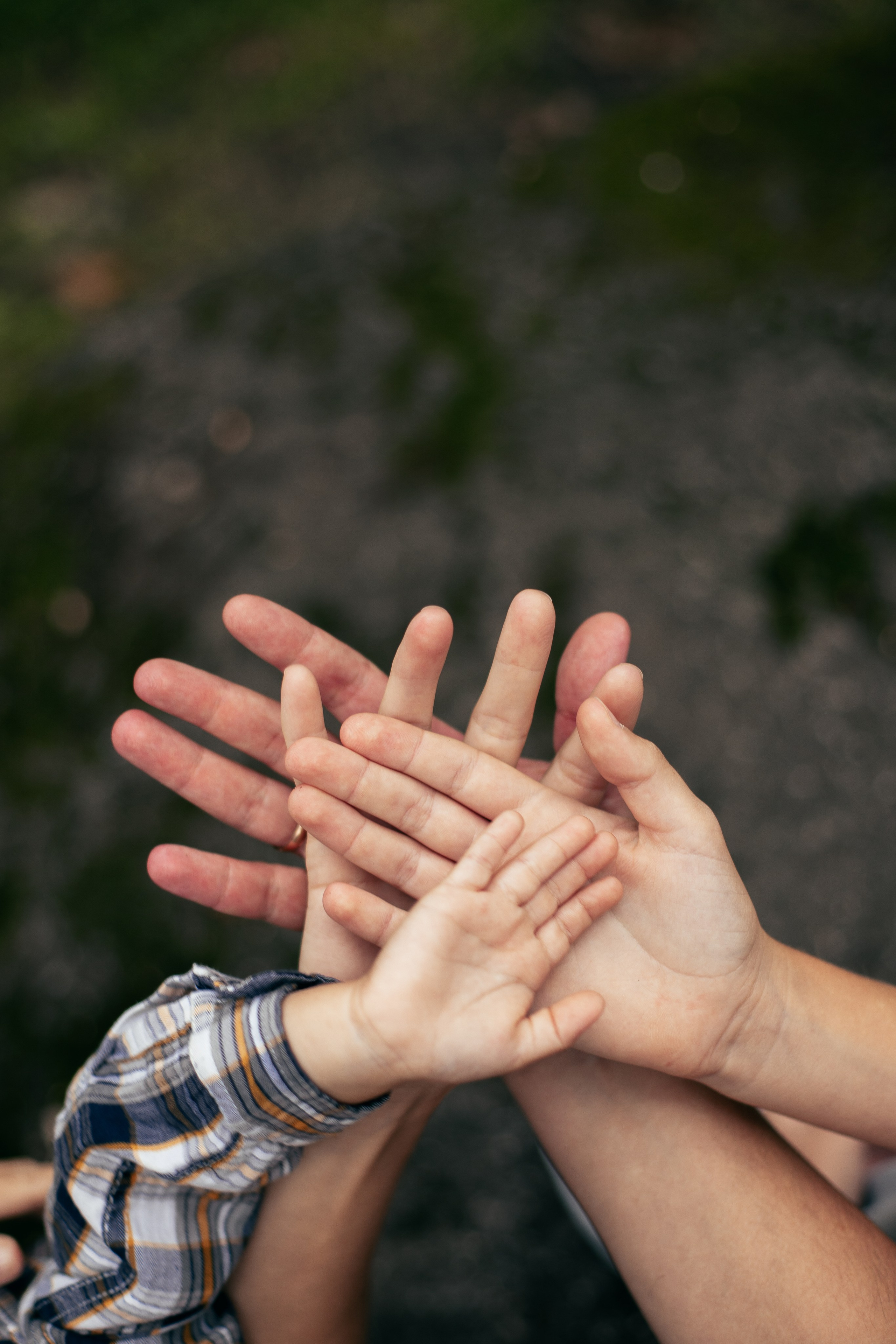 Прогулка в парке. Главная