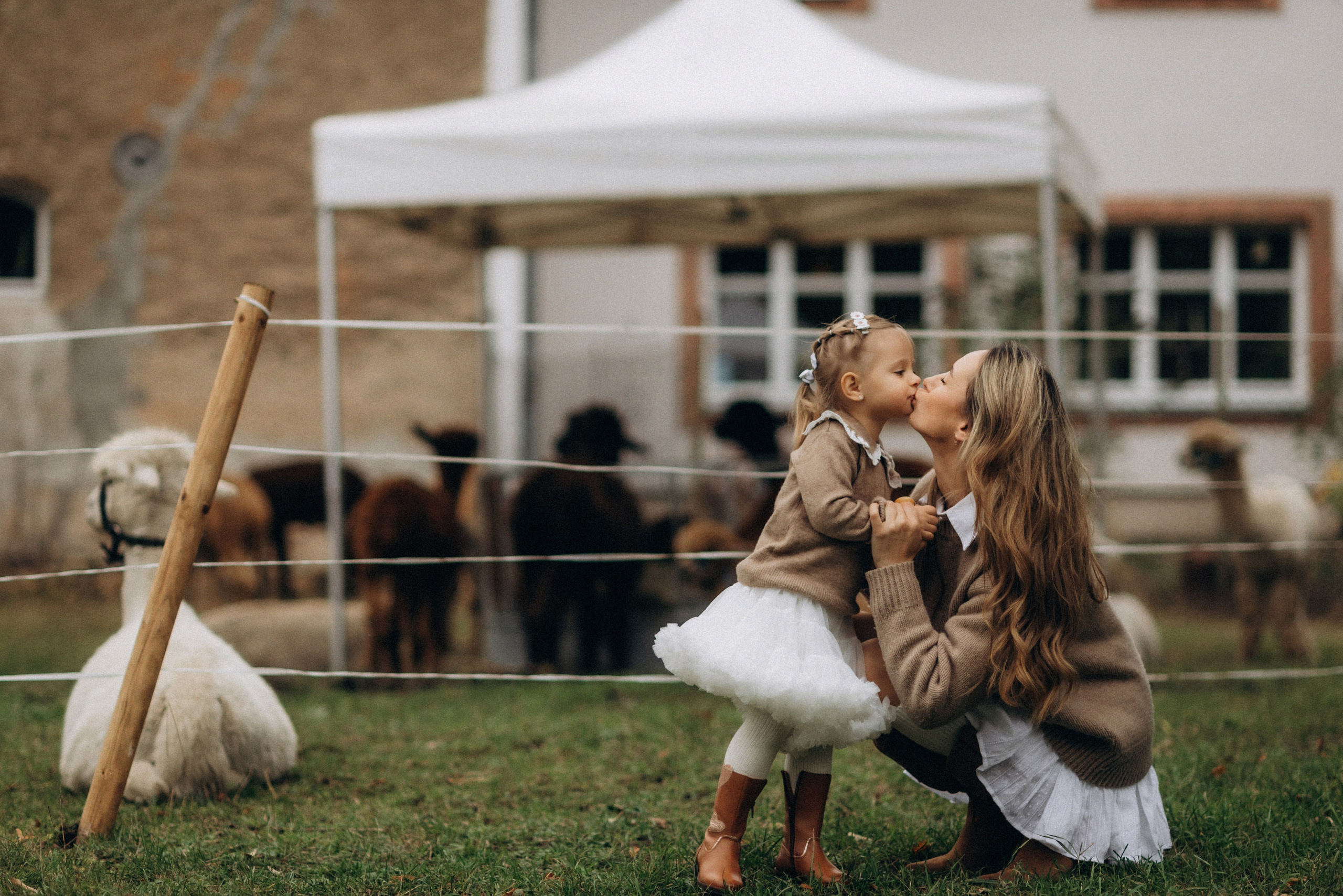 Семейная фотосессия с альпаками. Семейный фотограф Лейпциг, Германия