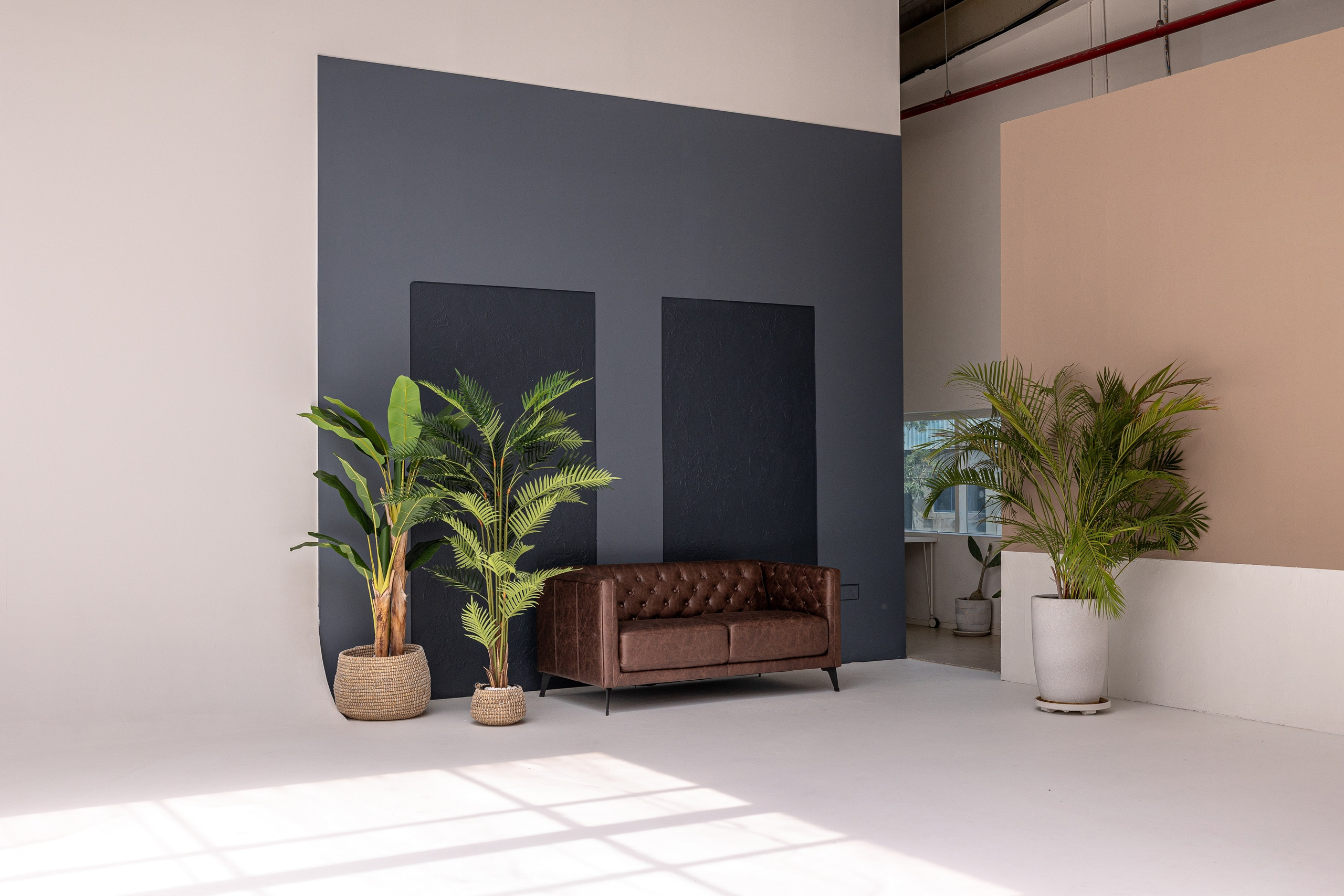 Rental. Sky Zone. Textured walls and Natural light on cyclorama. Photo and video production in Dubai UAE