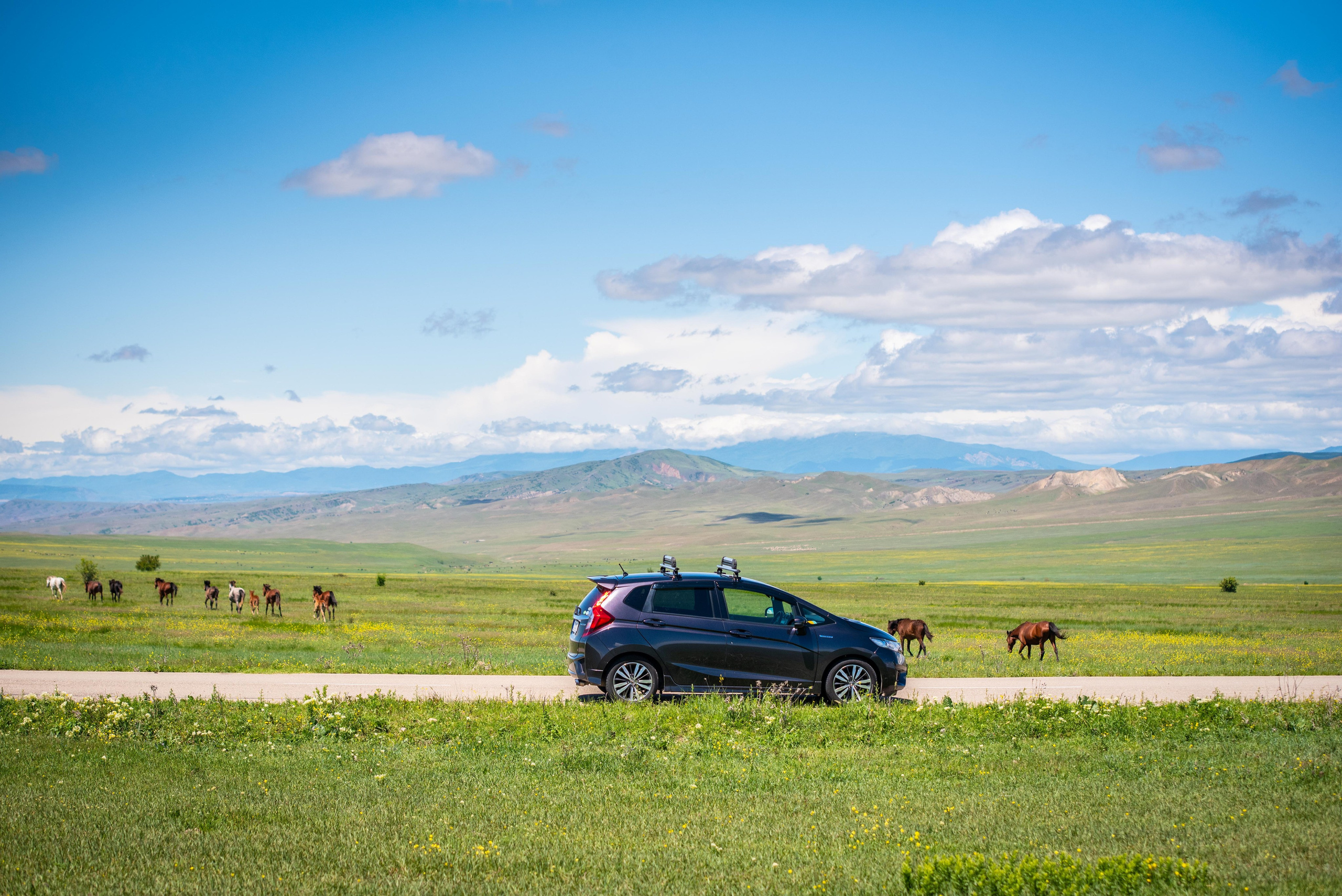 Kakheti. Photographer in Tbilisi