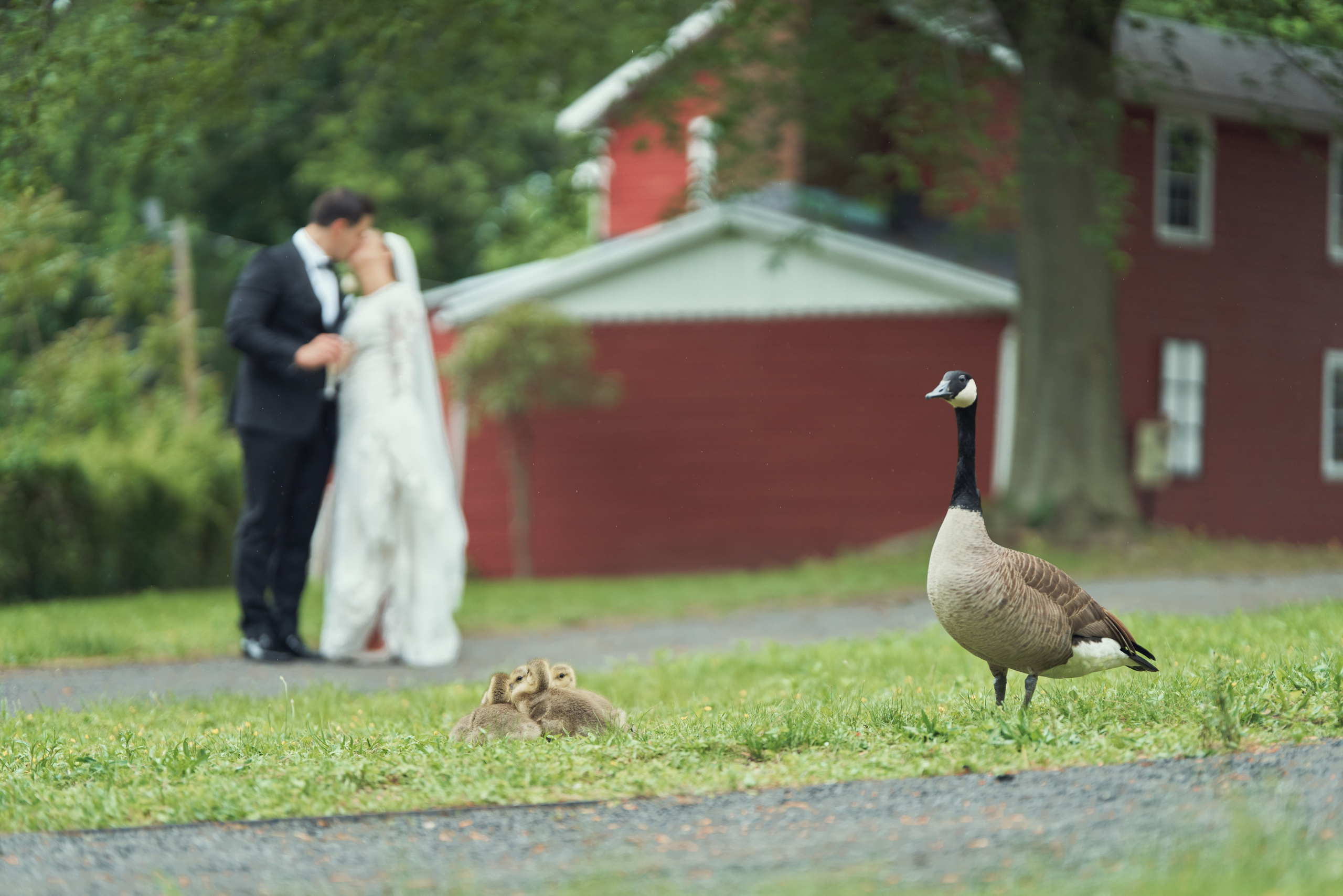 Colleen&Mat, North Jersey. Alex Pedan photography