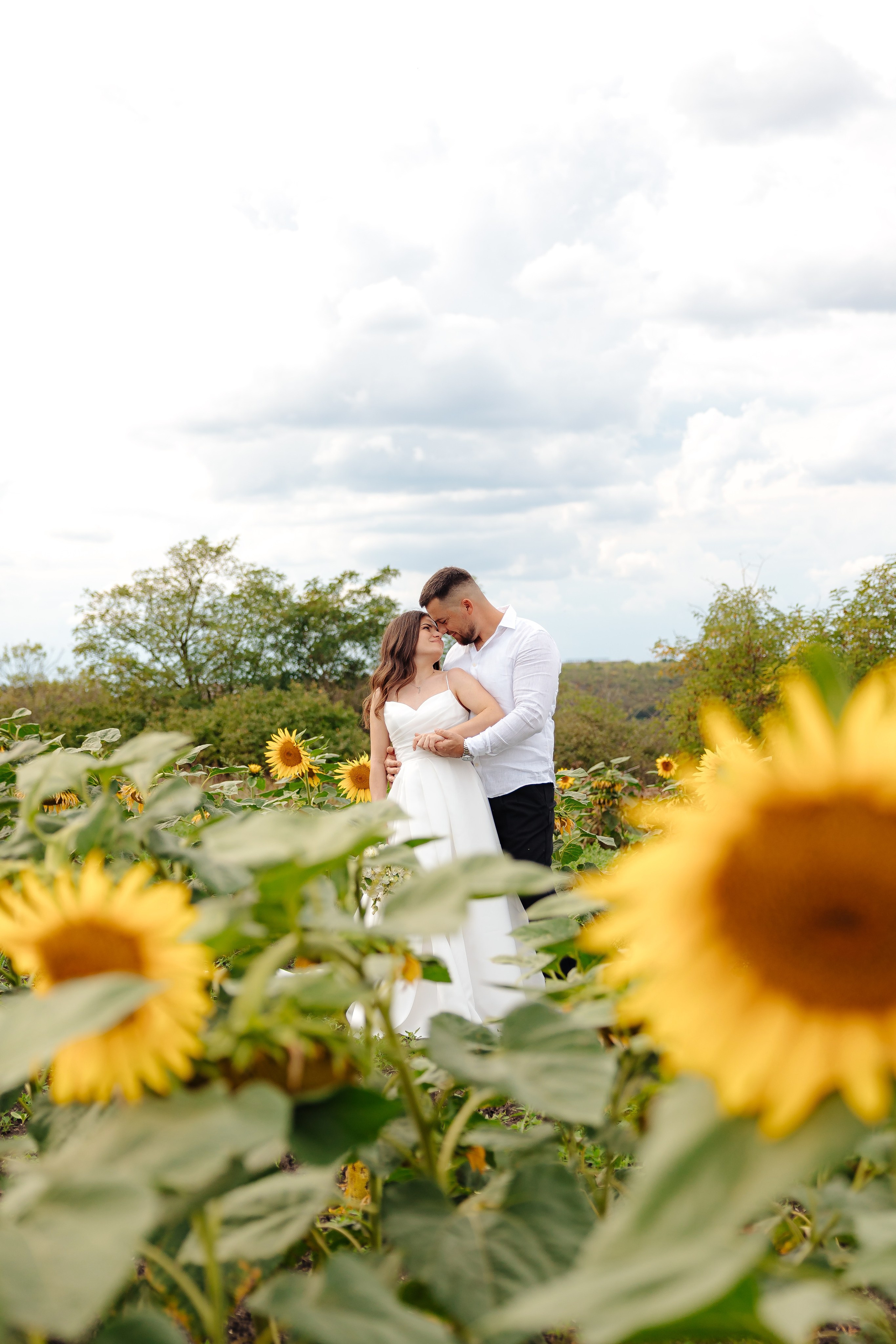 Petru & Mihaela. Servicii Foto/Video