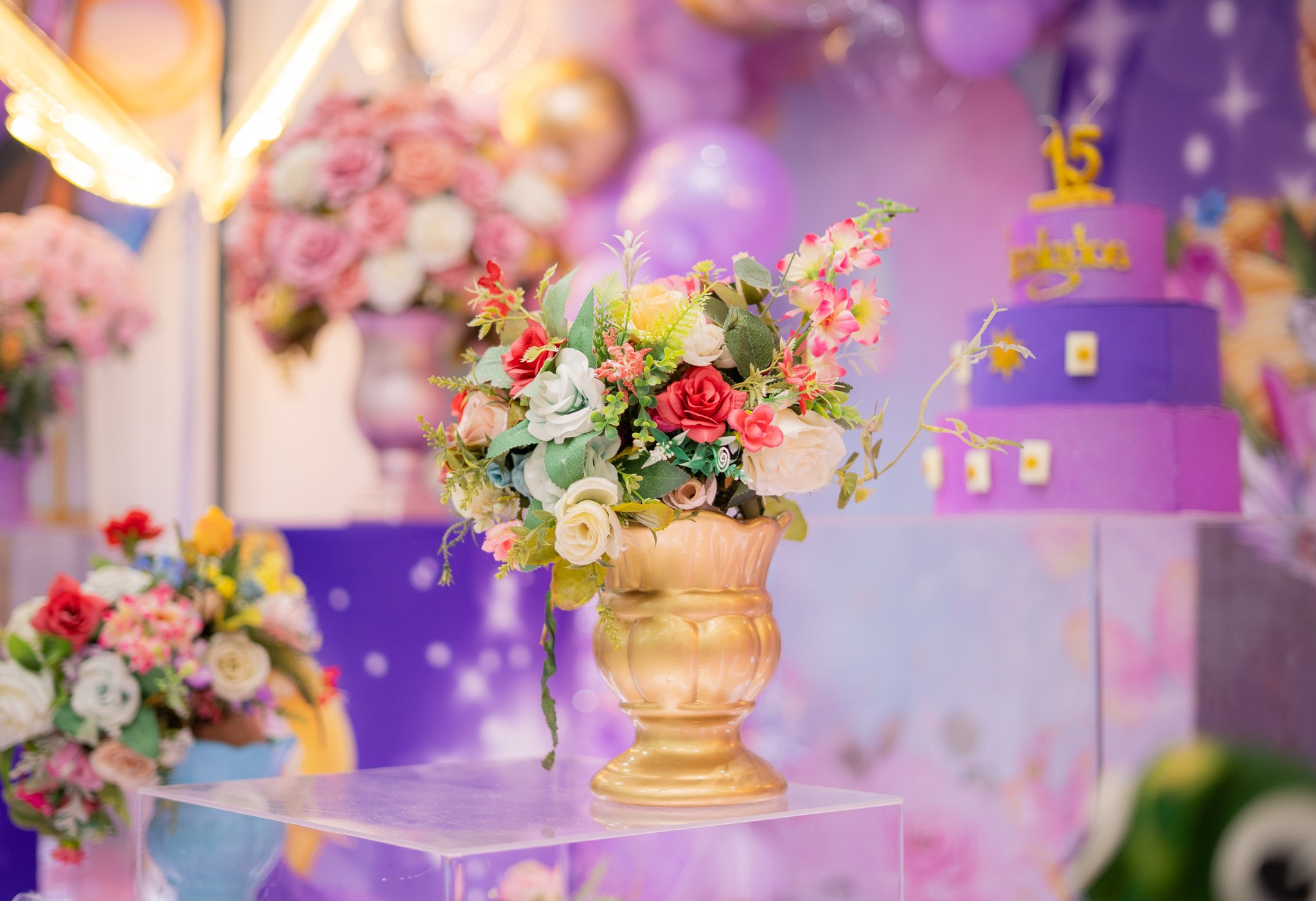 Sofia — Gulas Kids / Bauru SP. Robson Colaço