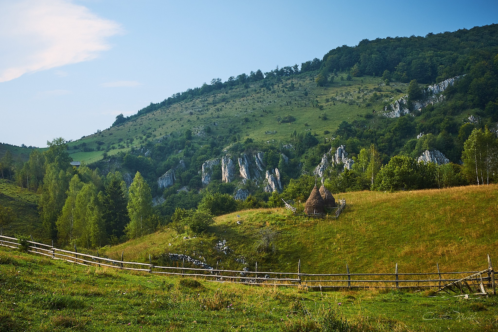 Fundătura Ponorului, jud. Humedoara. Pagina principală