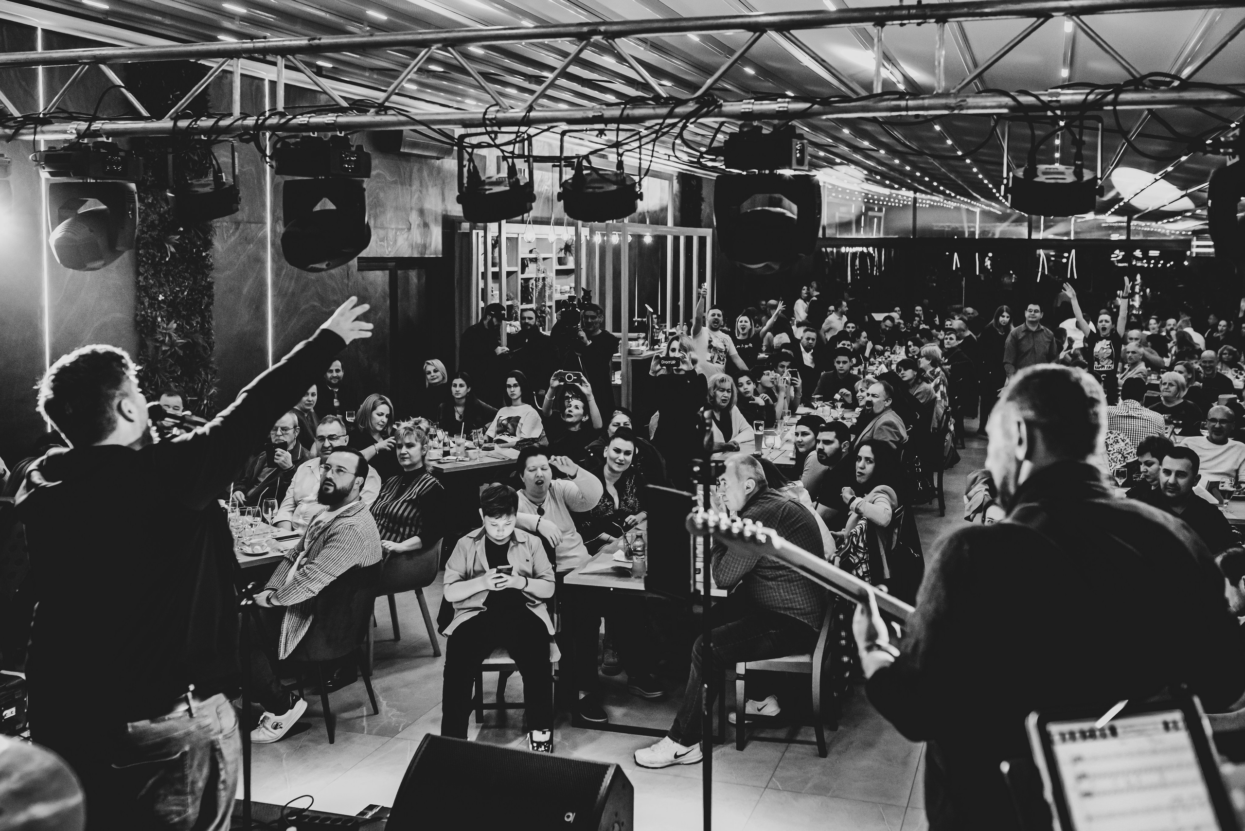 Roosters. Giani Maftei