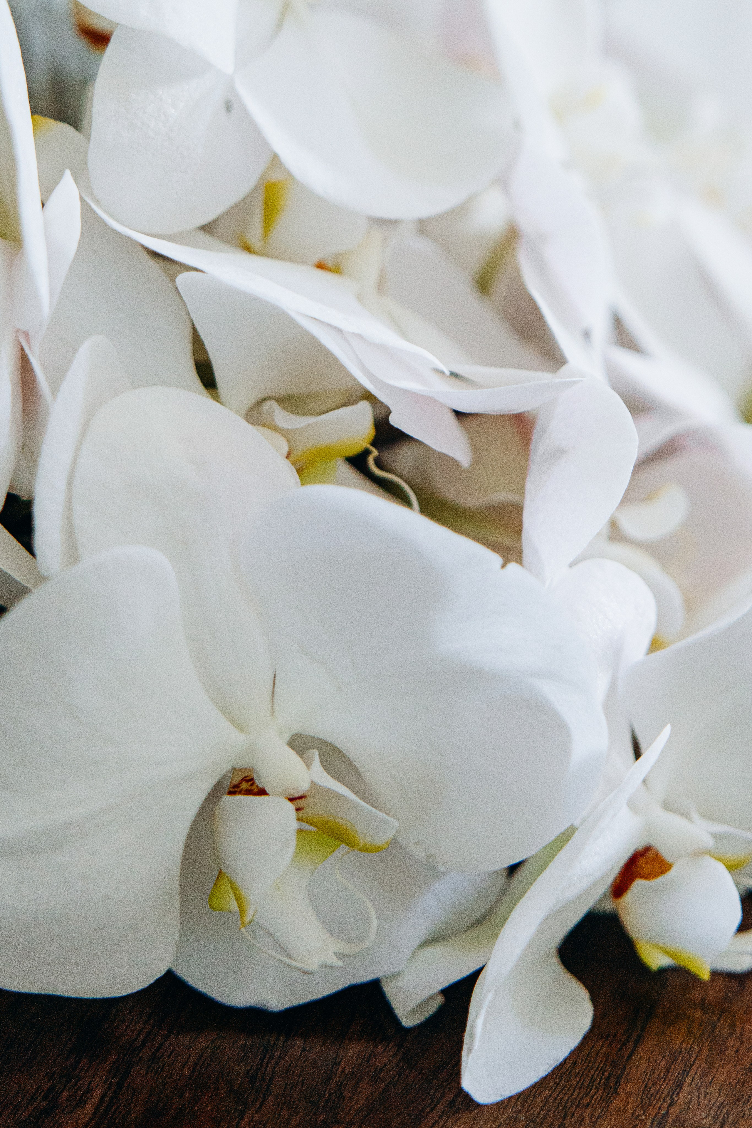 Drew and Haley. Wedding and family photographer San Diego