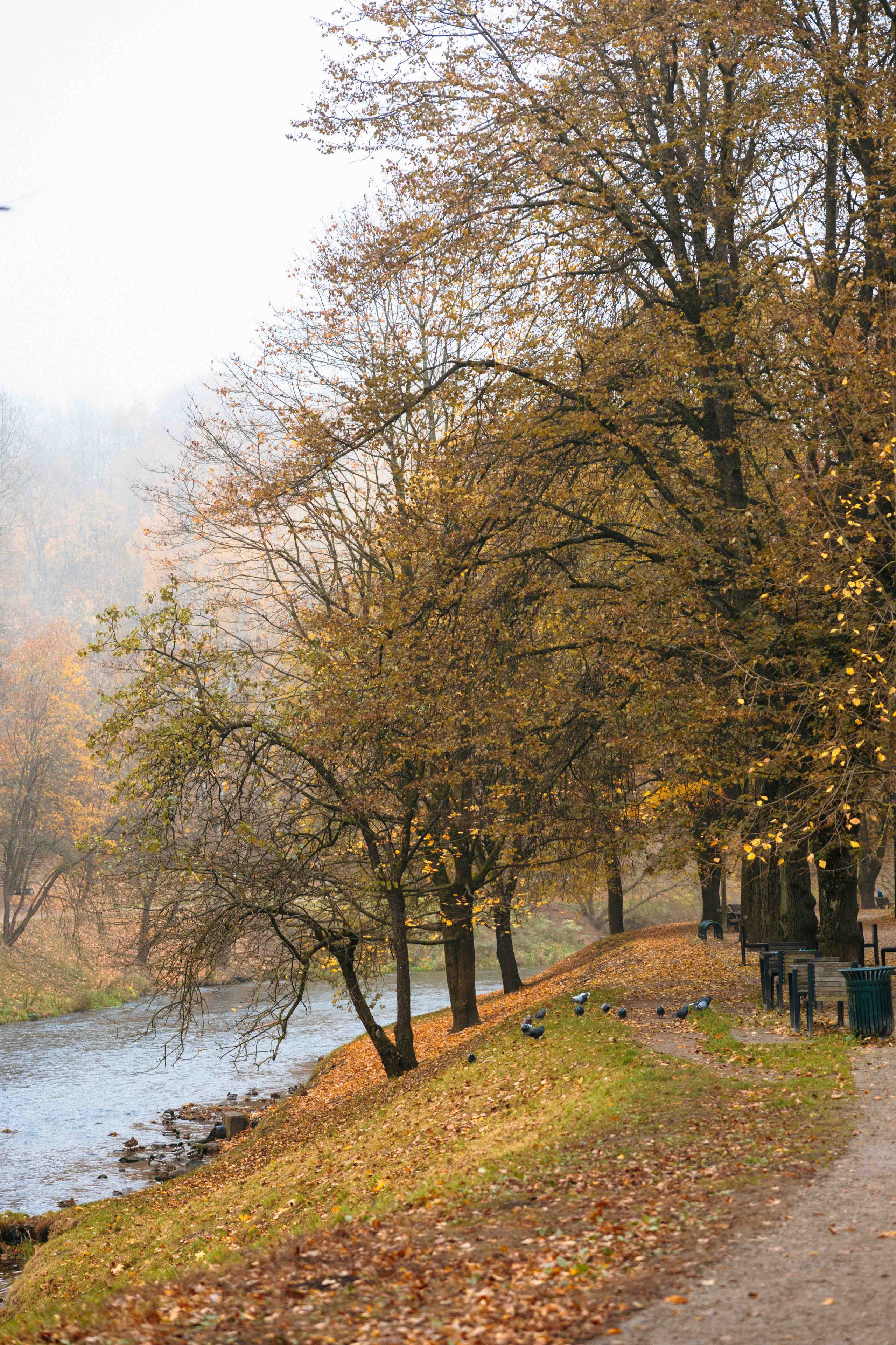 Best Autumn Photoshoot Locations in Vilnius: Top Spots to Capture the Fall Colors. Framed by Evelina | Destination Wedding Photographer from Lithuania | Europe