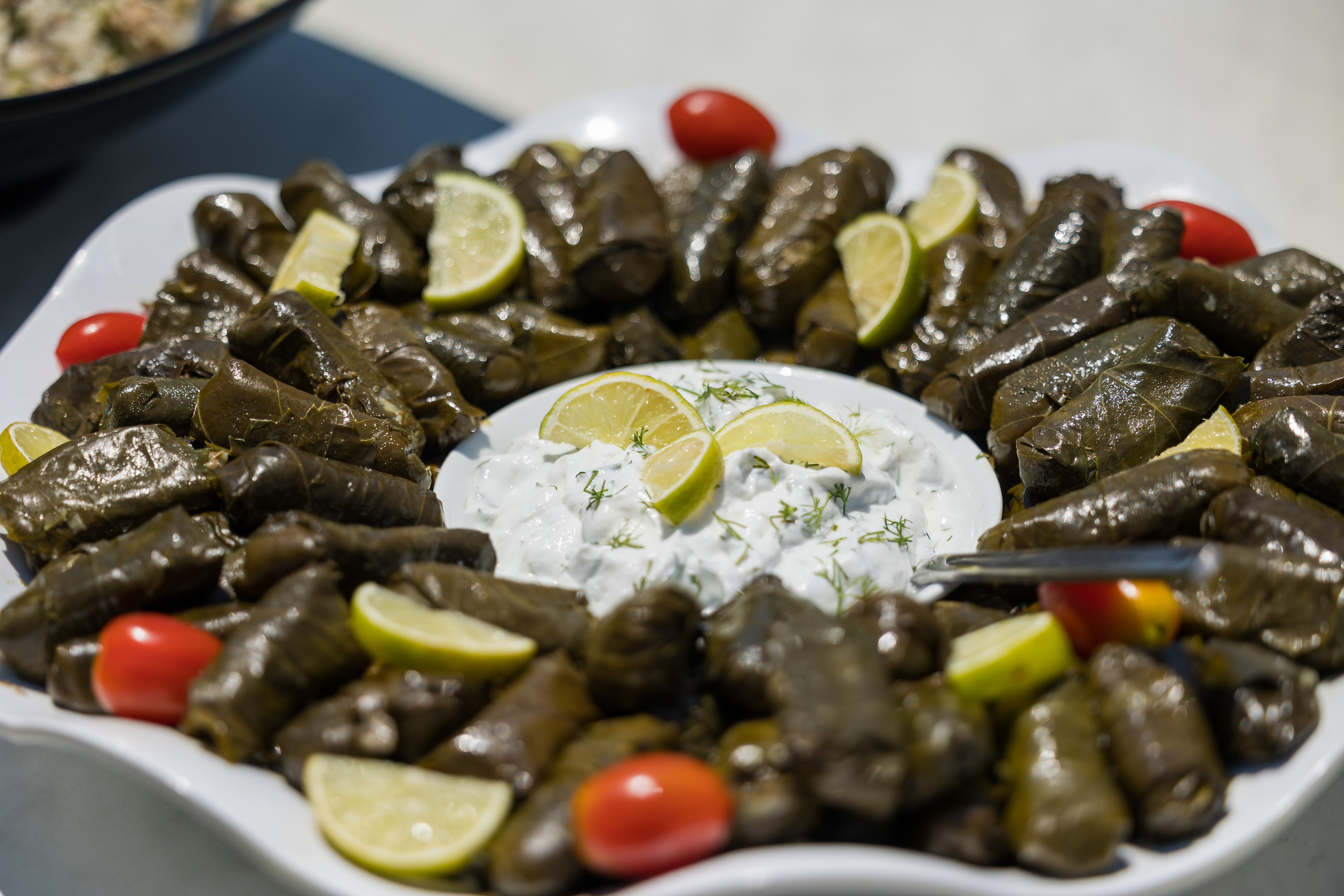 Ashstrom-Greece. AMIR BUCHNIK PHOTOGRAPHER