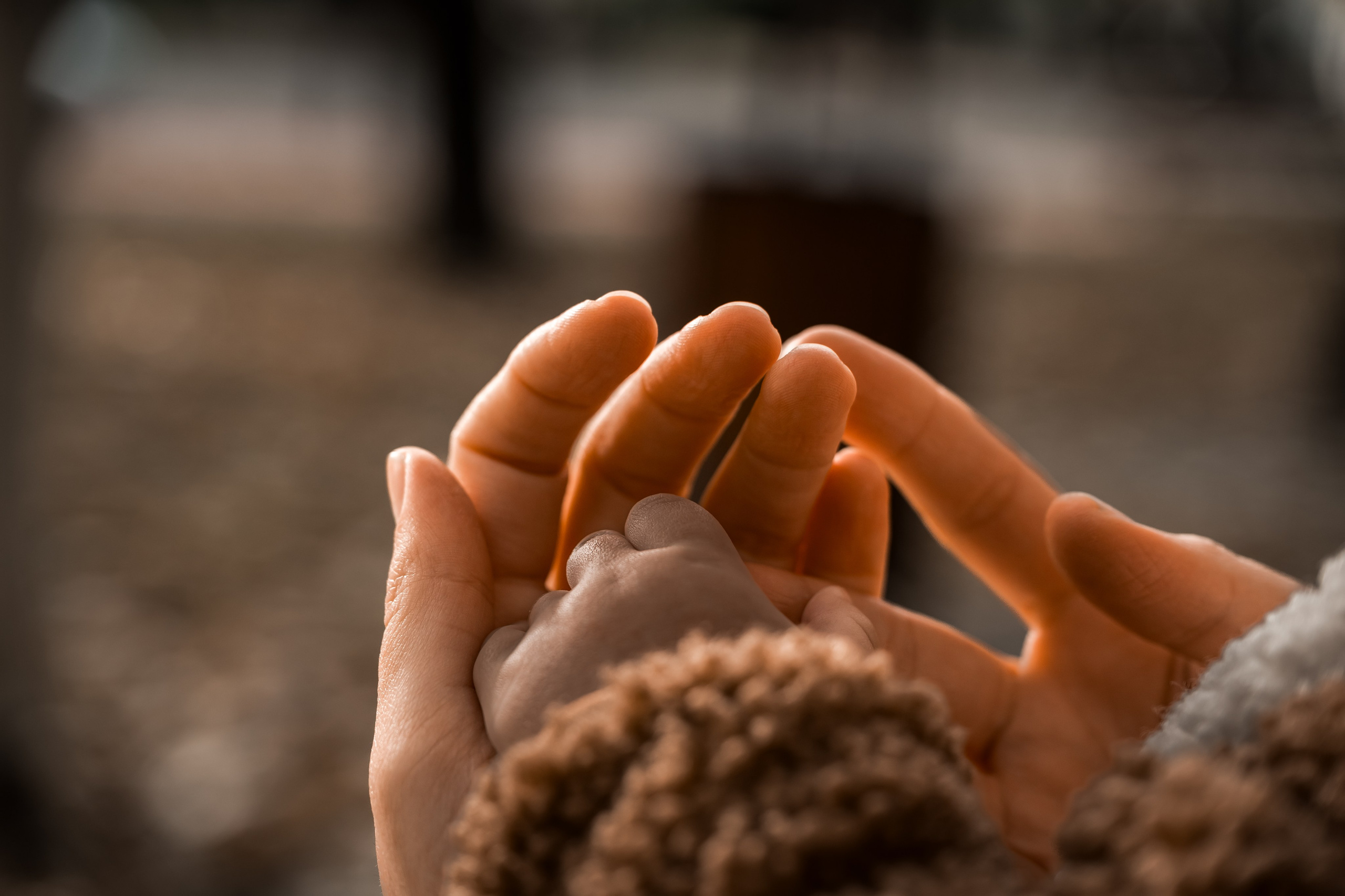 Alexandra și Ștefan. Adrian Visovan - Fotograf Iasi