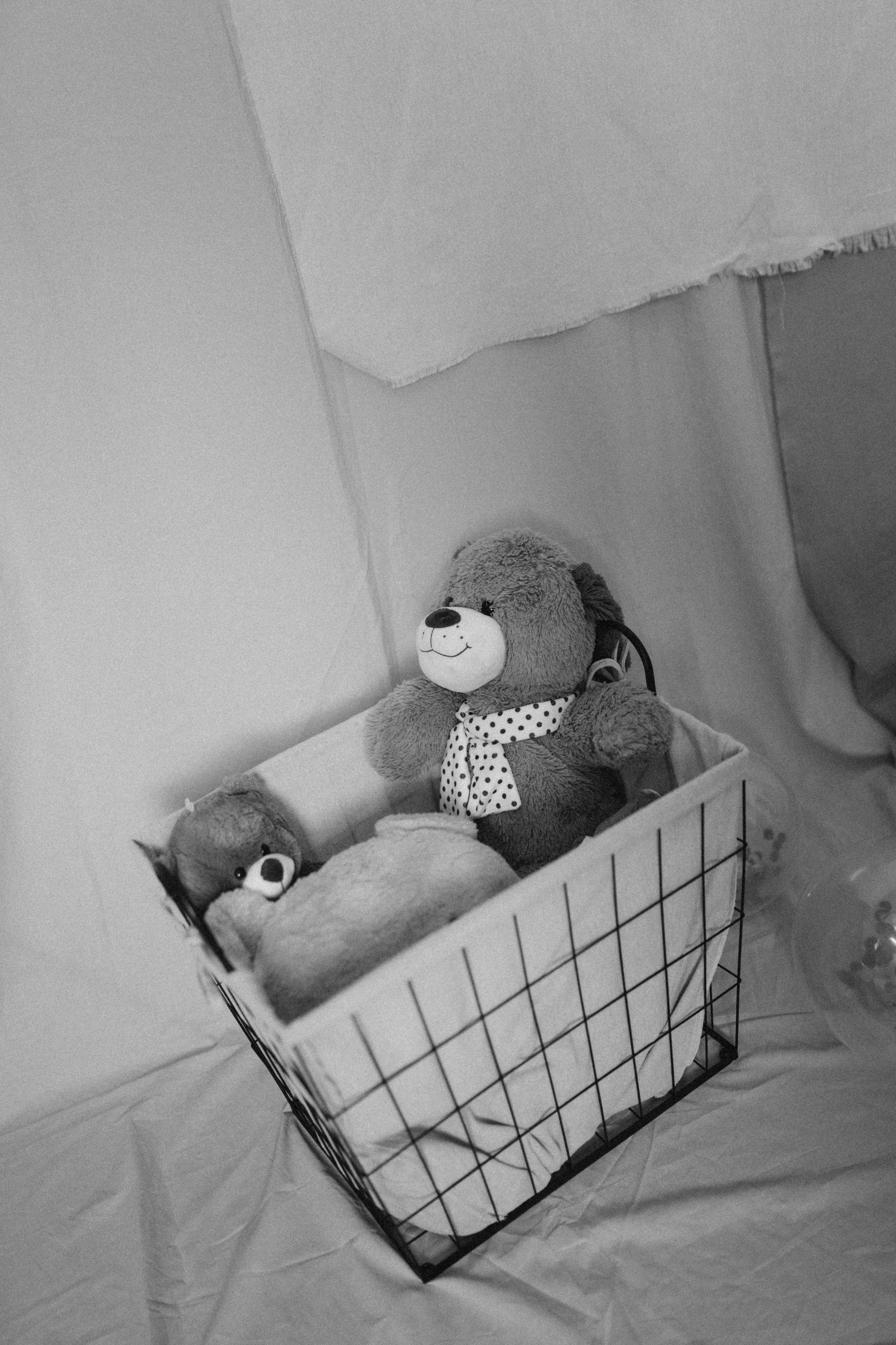 Aris — 1 Year. Gabrielacojocariu.com