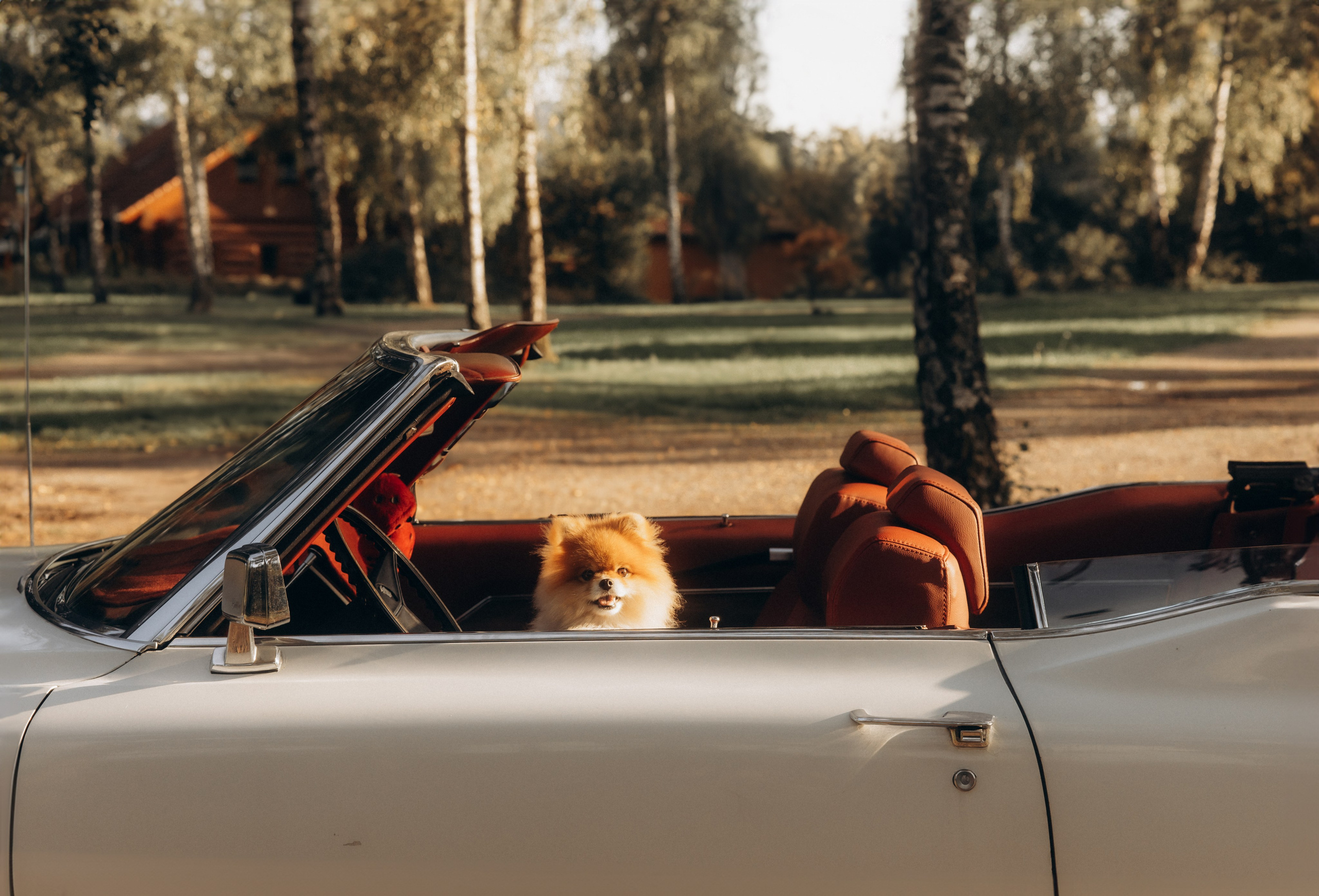 Timeless Style. Julia Sööt Fotografie