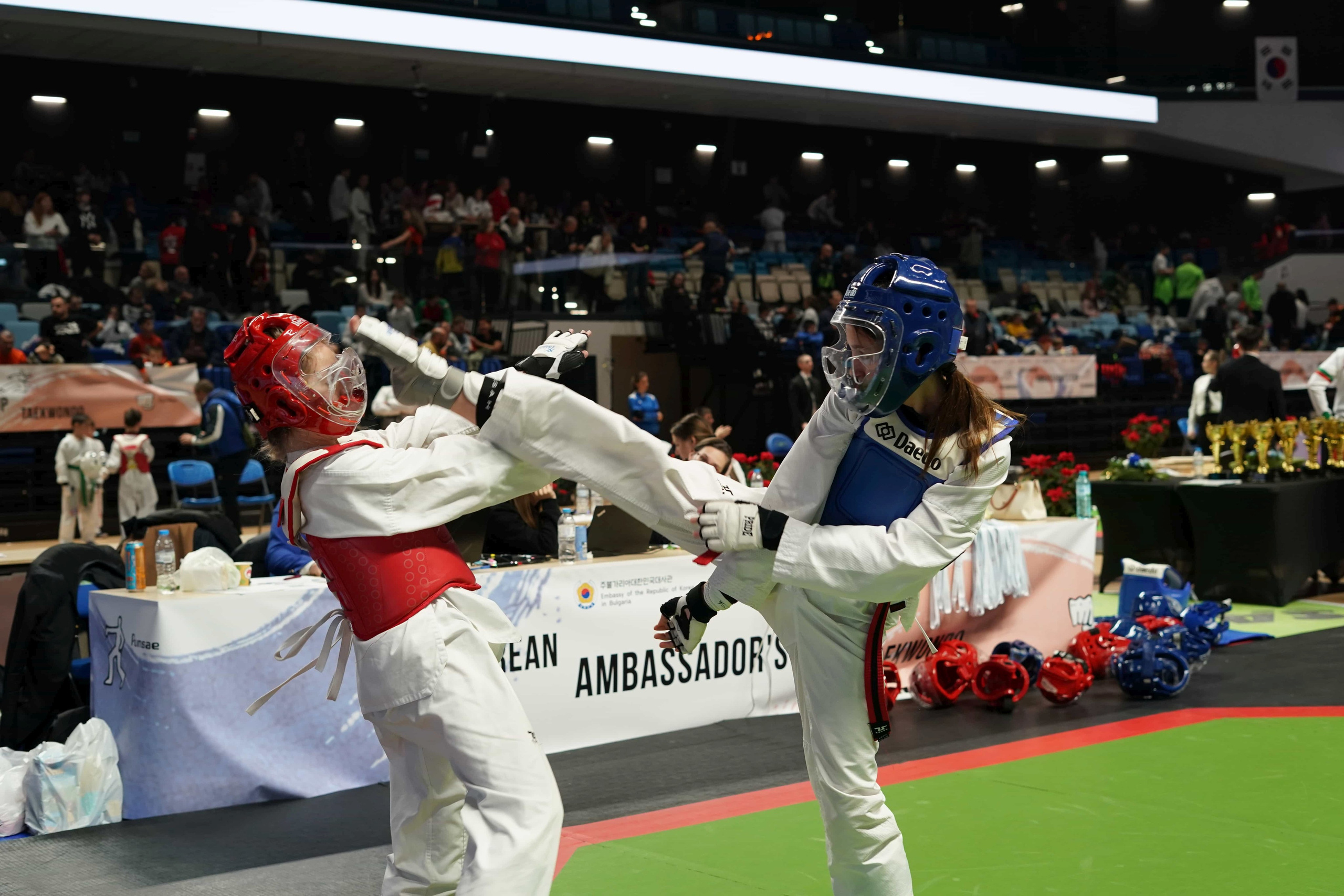 PhotoAdrenaline.com - Спортна фотография на&nbsp;TAEKWONDO турнири