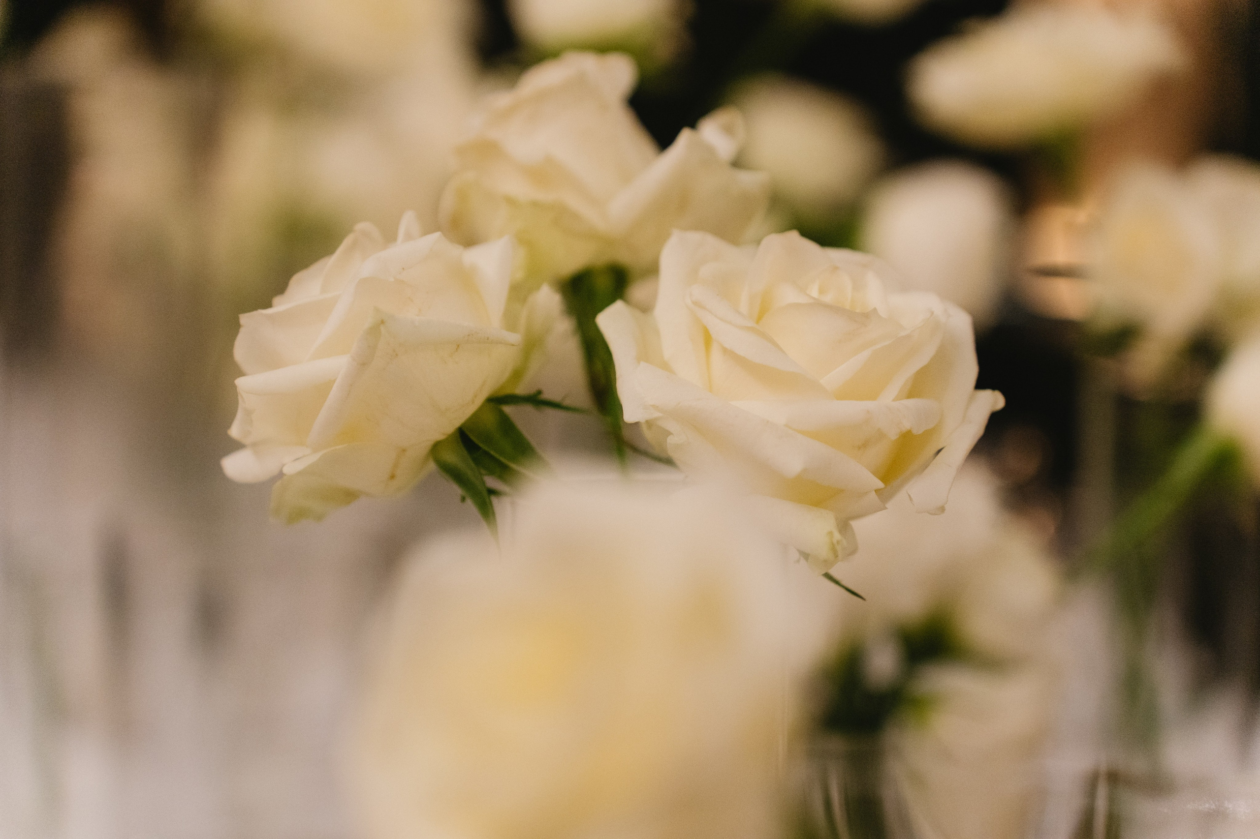 Interior & Venue. Portrait & Event Photography | Israel | David Shafirov