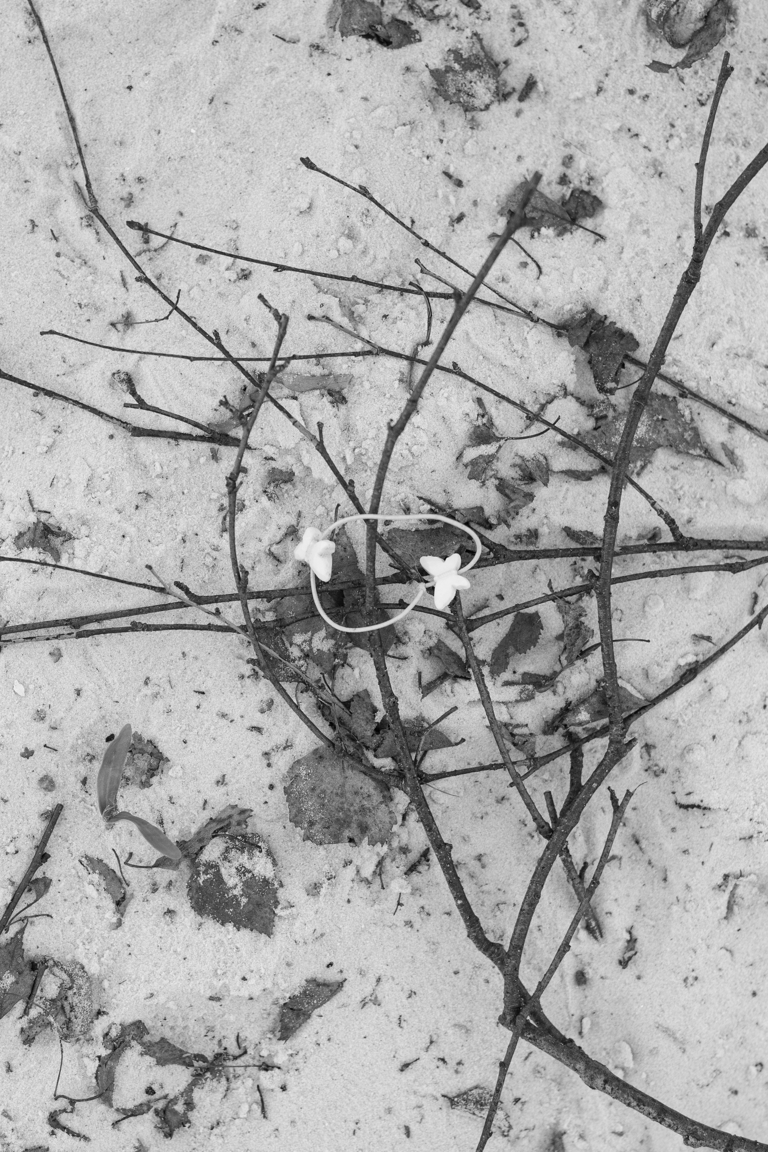 Кто сказал, что будет легко (в процессе). Екатерина Федорова