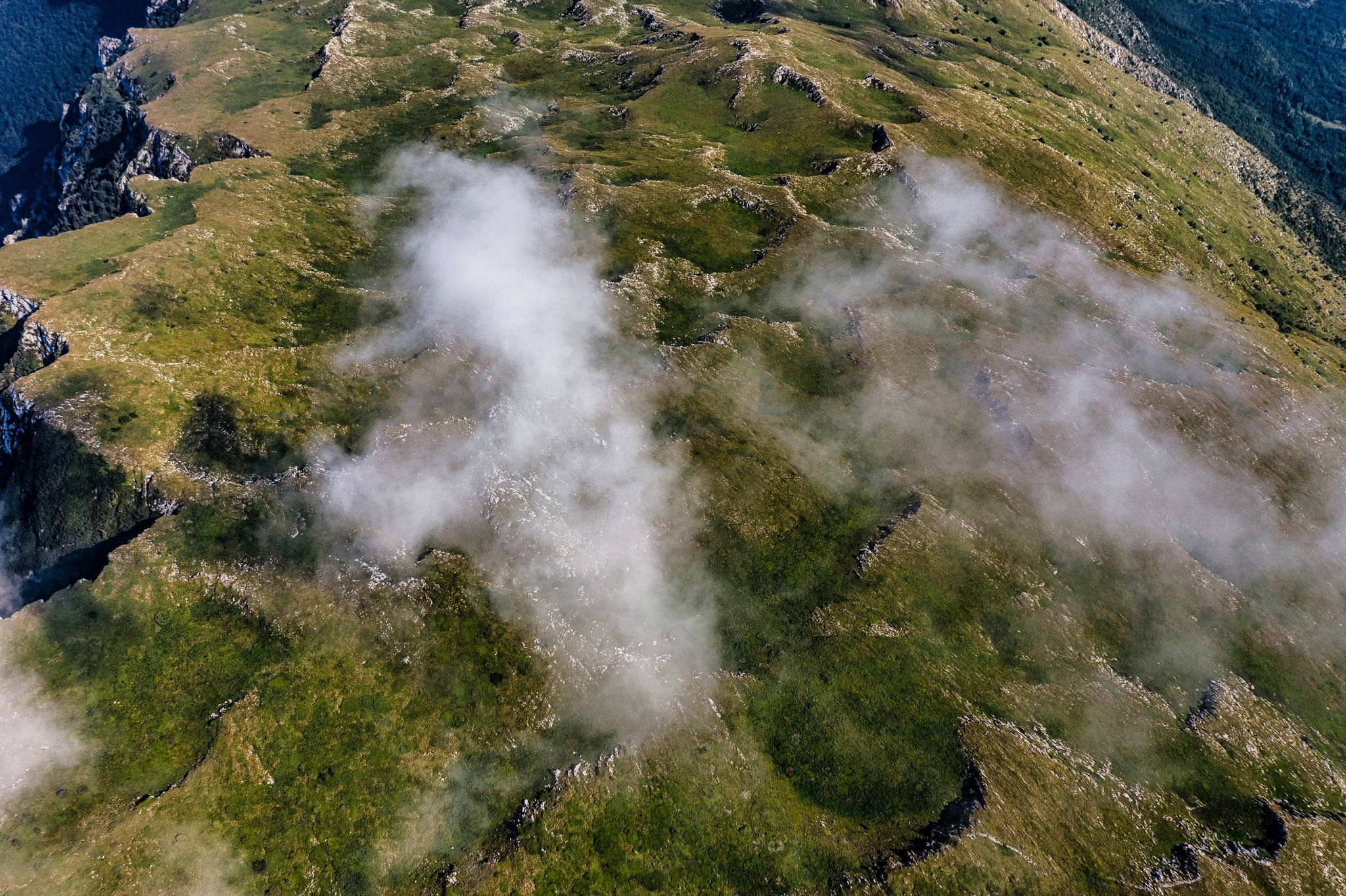 Landscape photography. Wedding photography