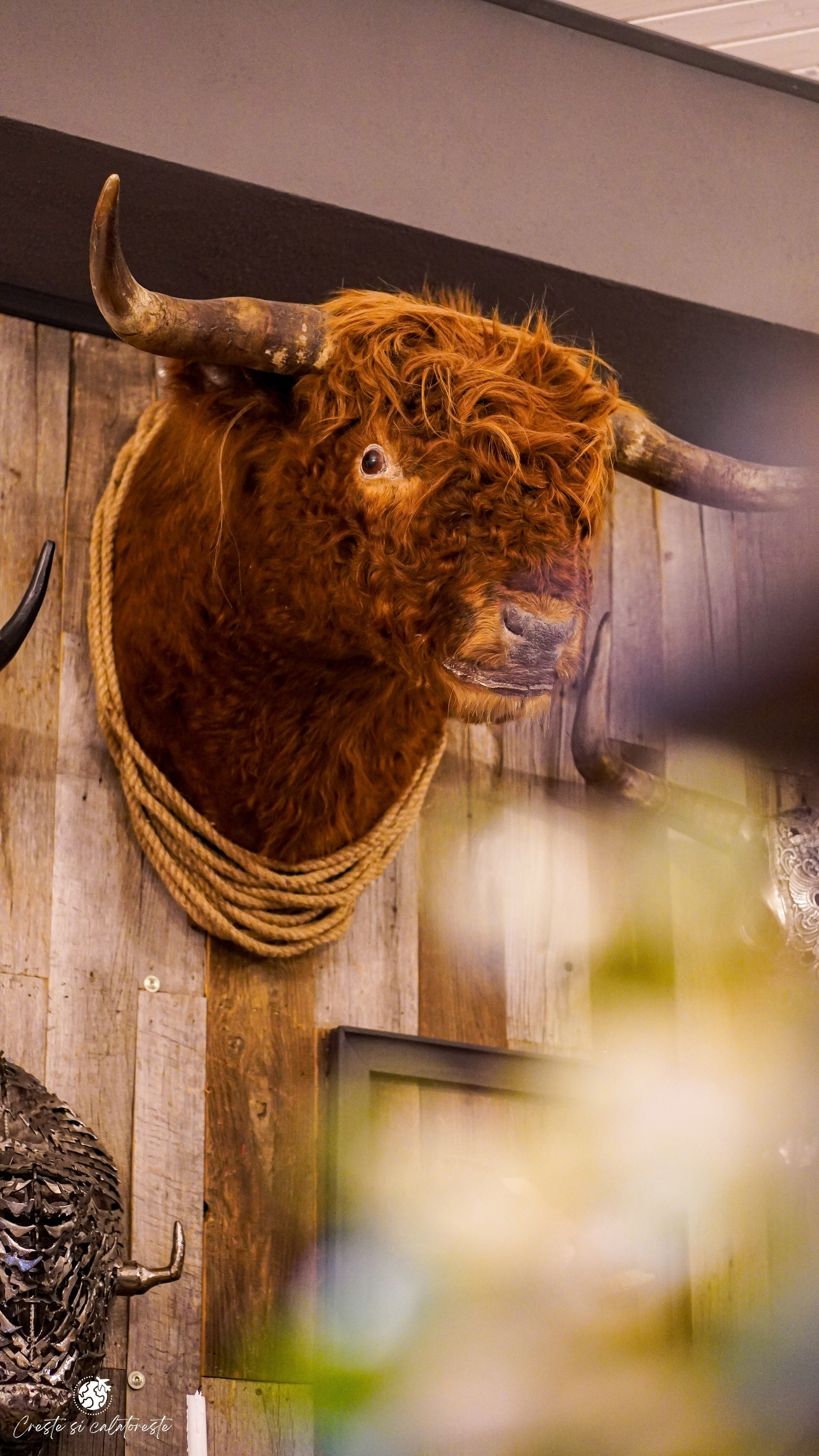 Bransilvania. Creste si calatoreste