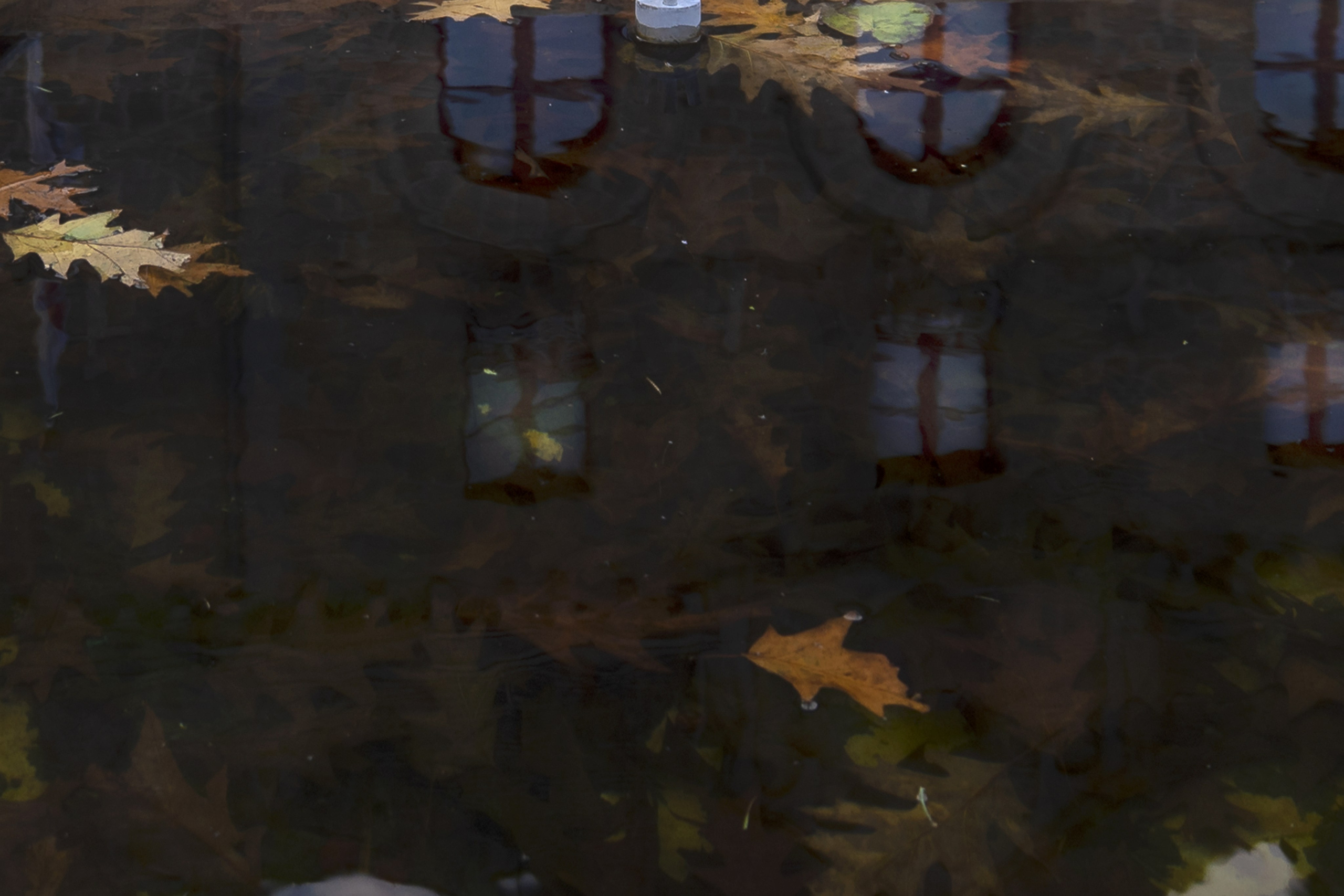 Paysages. Portrais créatifs de familles et individuels, Ile et Vilaine, France