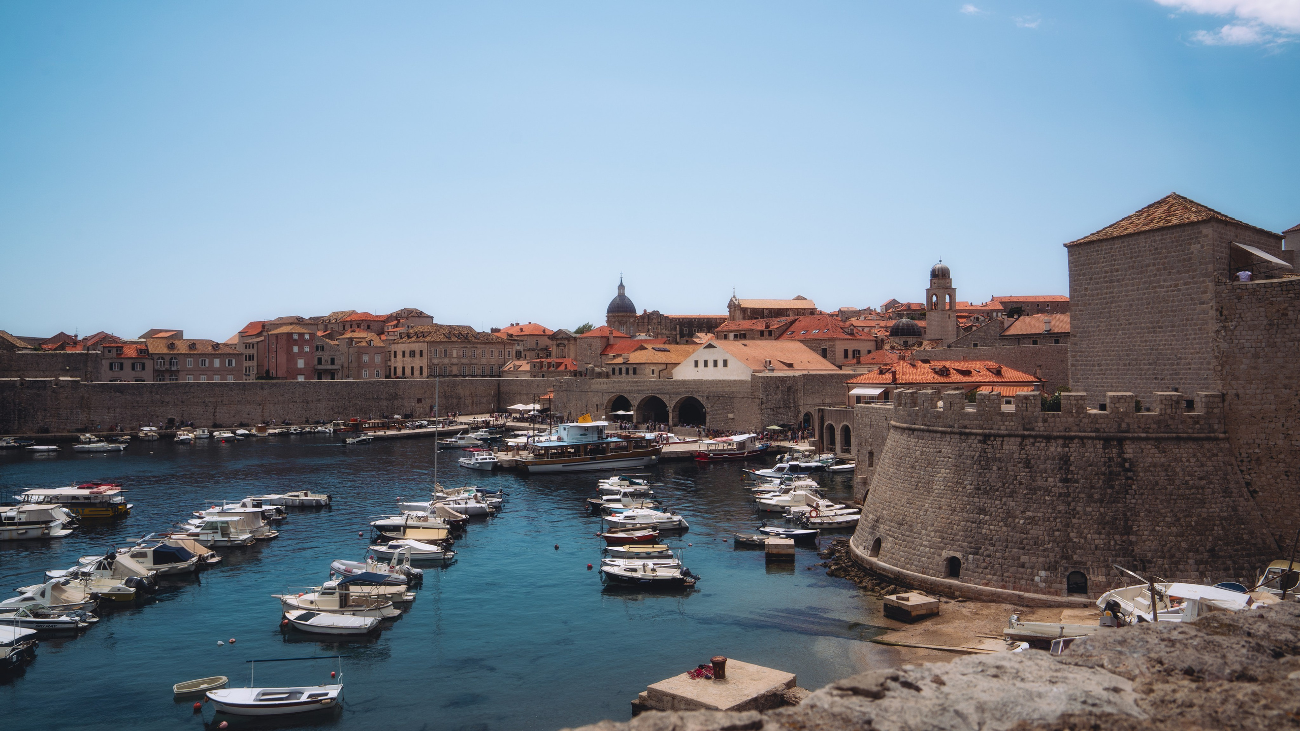 Roaming. Mike Avelli