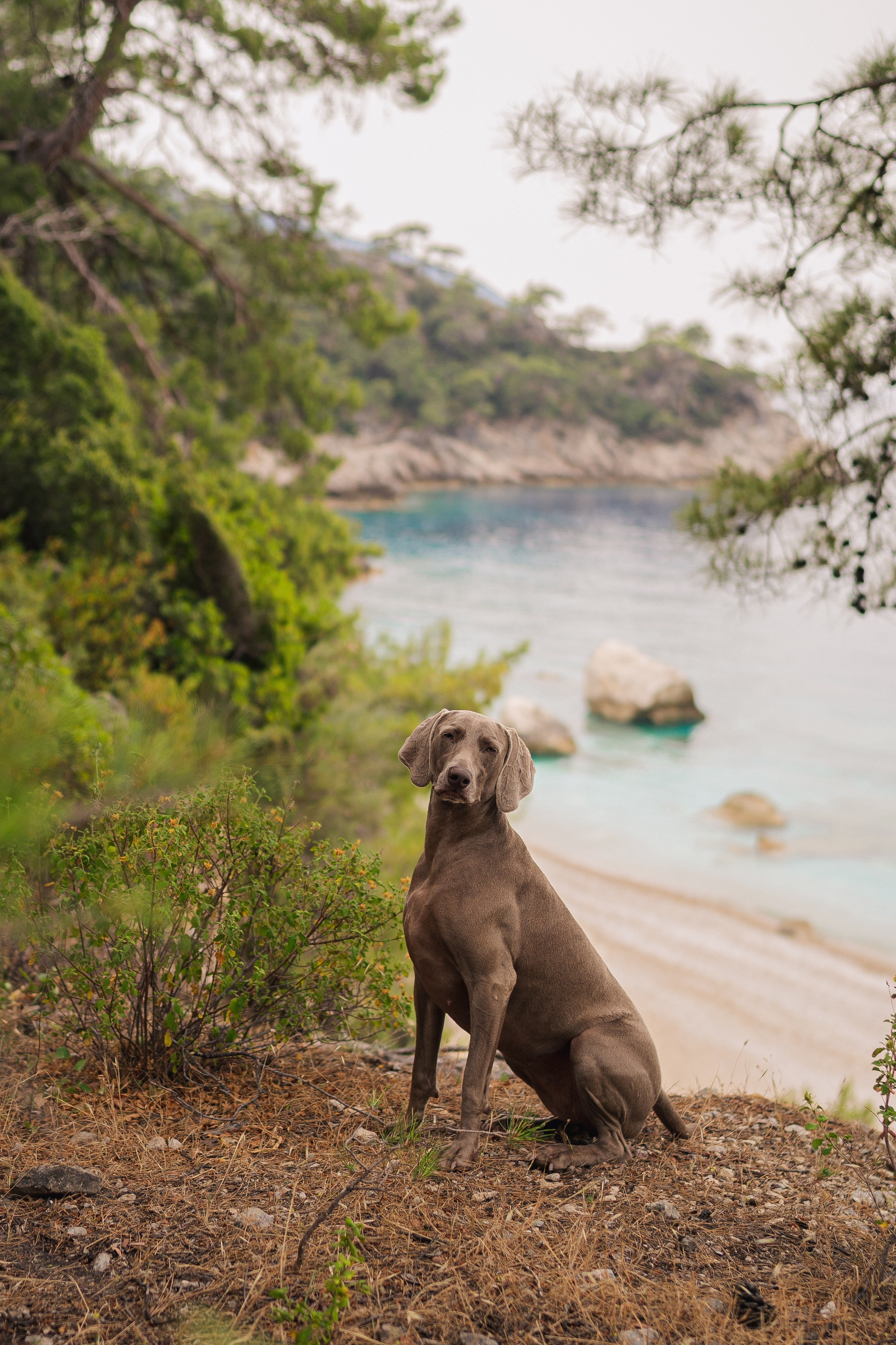 Хайкинг Ликийская тропа. Фотограф Москва Ларина Юлия