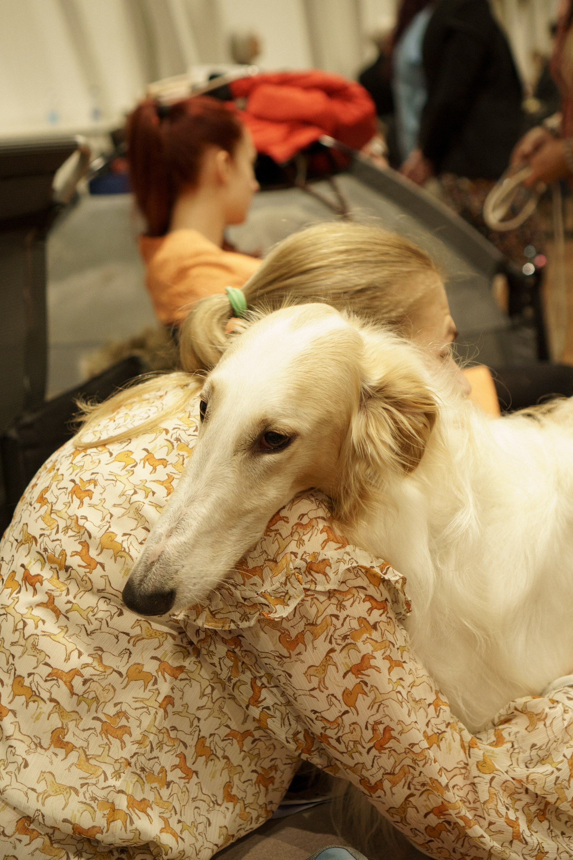Tartu International Dog Show. Kat Laisaar — Pet photographer in Tallinn