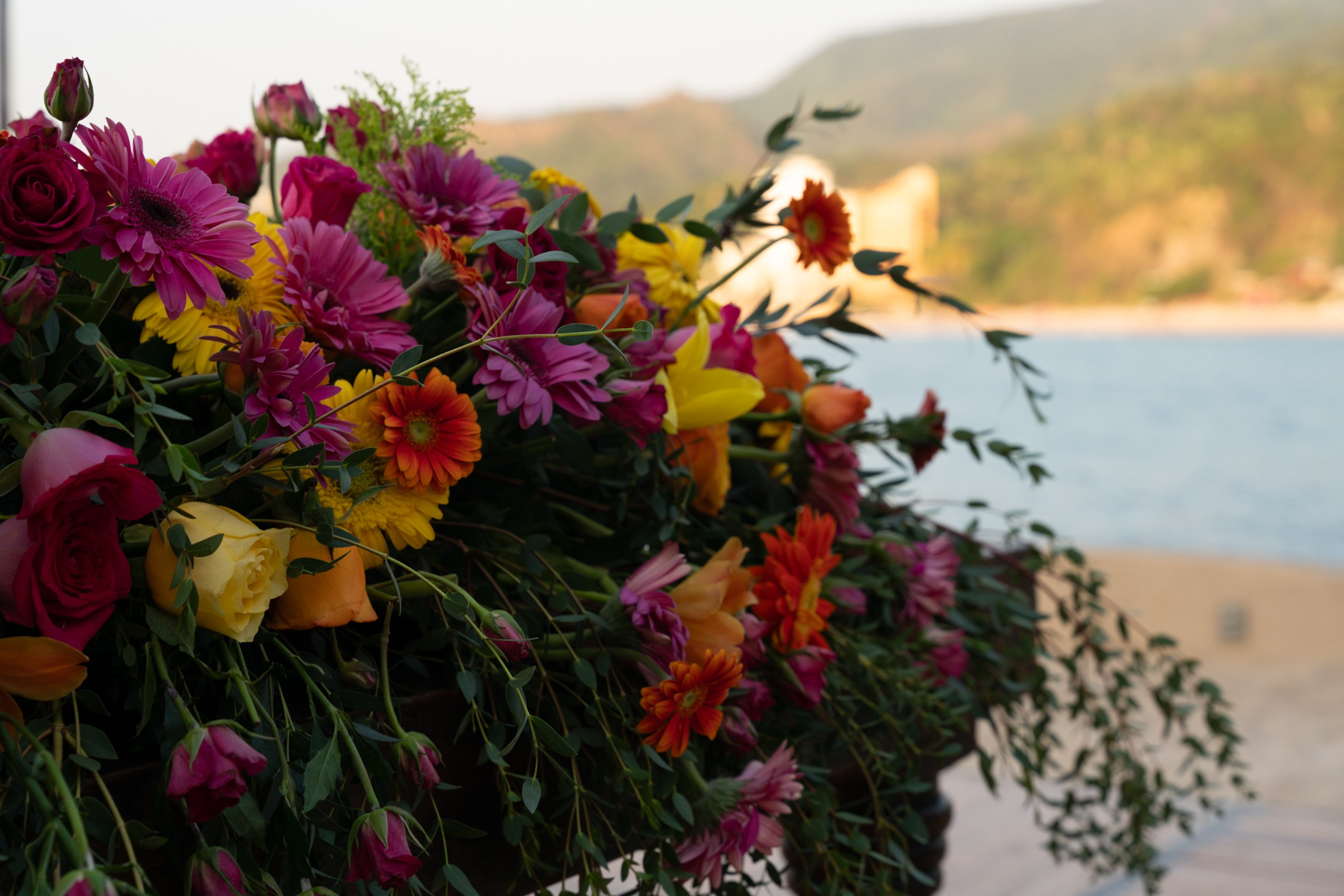 Rachi & Arjun. Elopement & Lifestyle Wedding Photographer