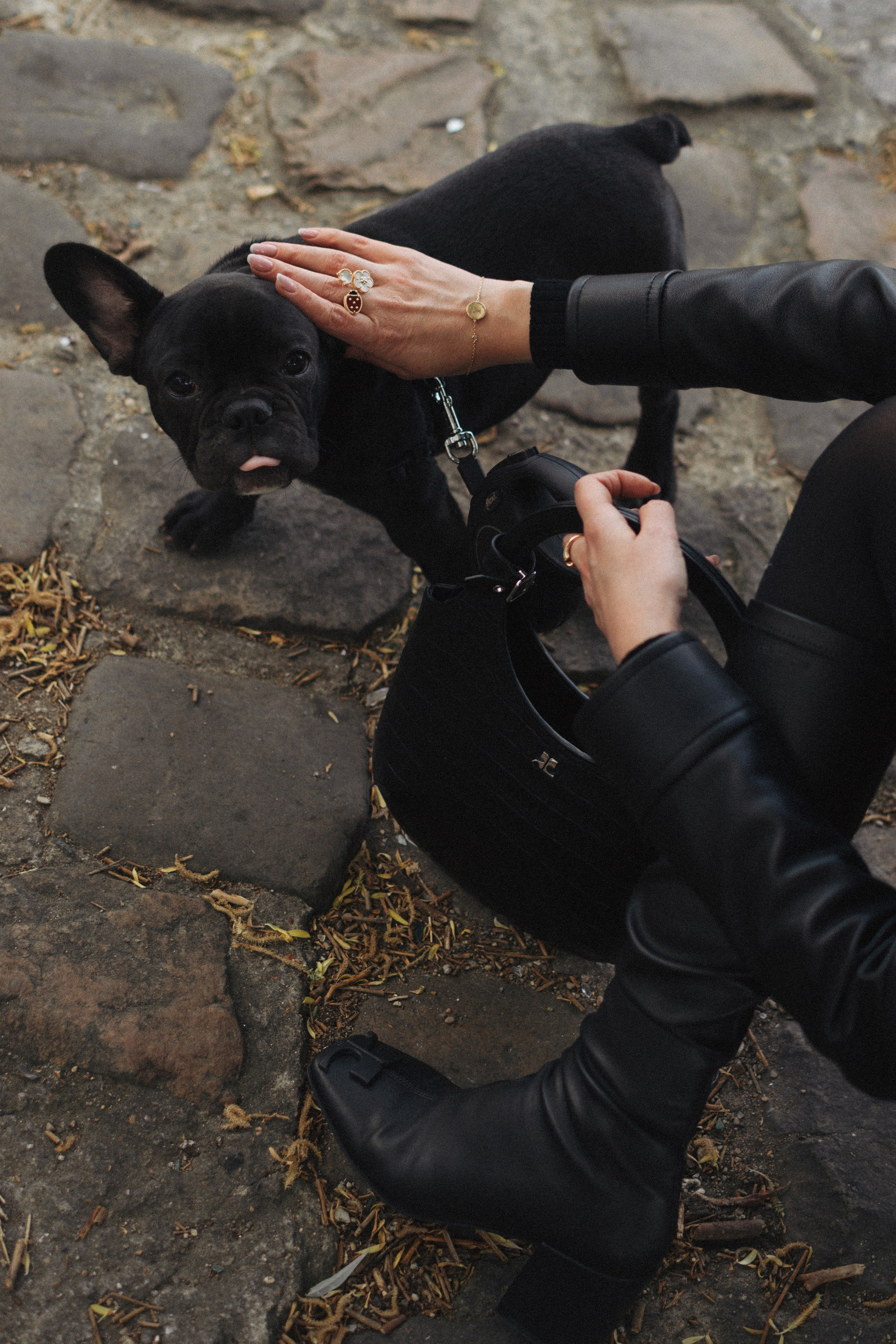 Tanya, Daisy et Jador. Photographe animalier à Paris Anna Pereira