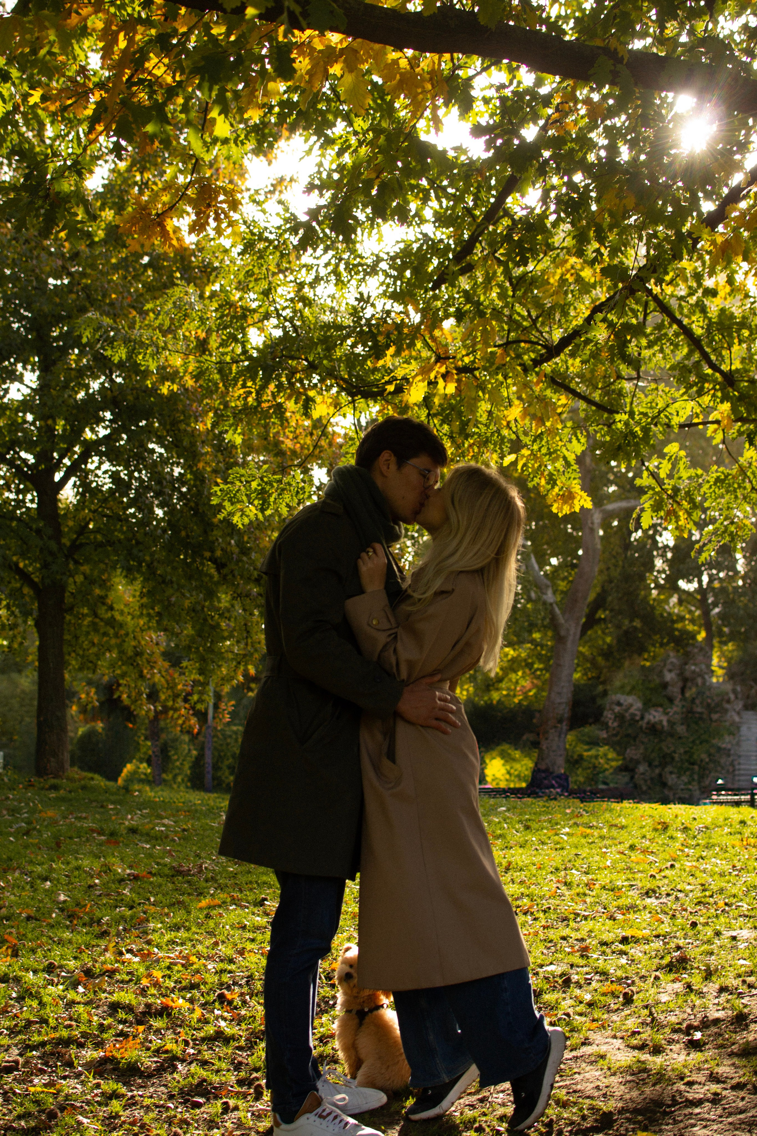 Barney, Nastya et Kolya. Photographe animalier à Paris Anna Pereira