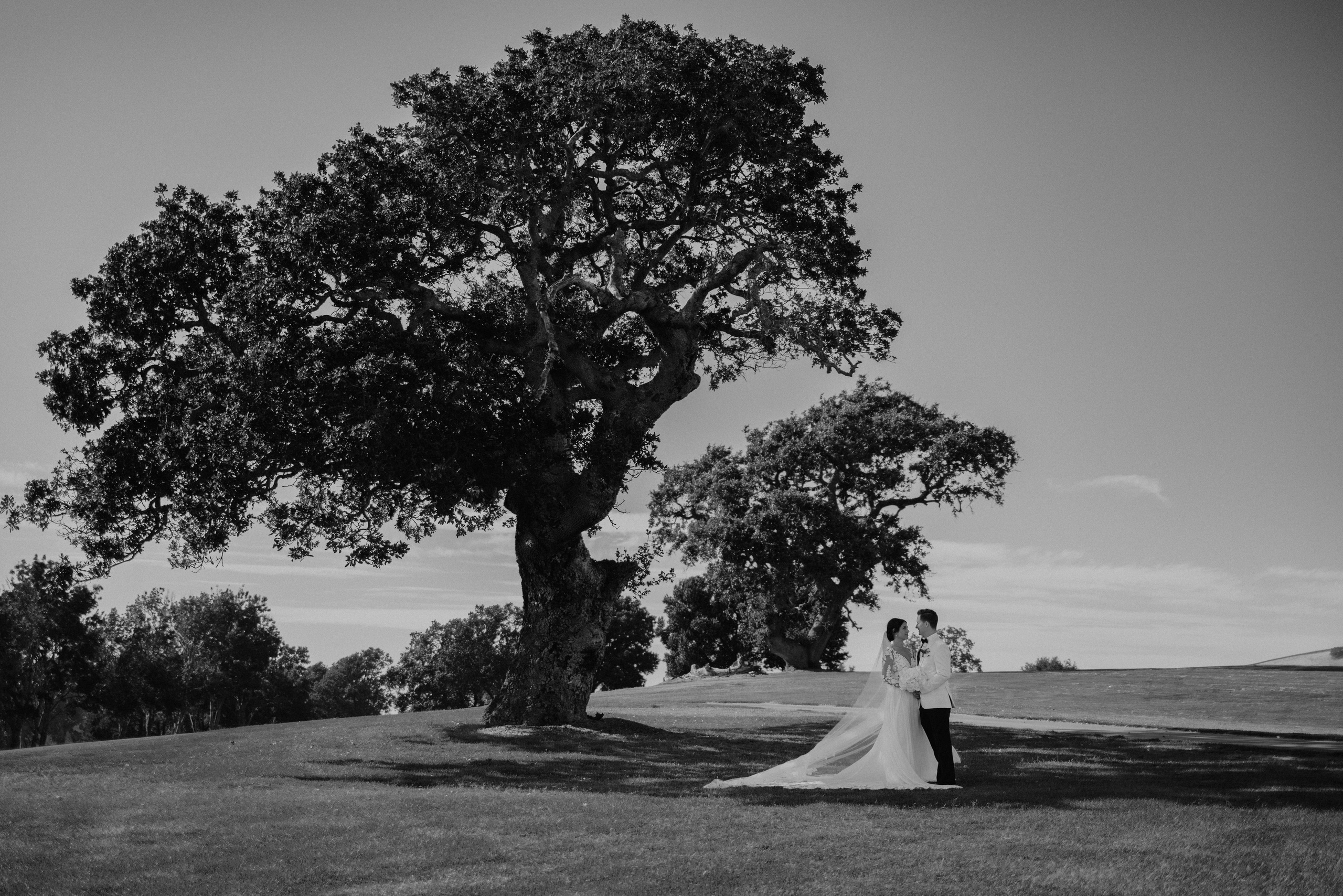 Coleman & Erenia Wedding in Napa | Georgy Shishkin Photography. Portland & Seattle Wedding, Elopement & Engagement Photographer | Georgy Shishkin