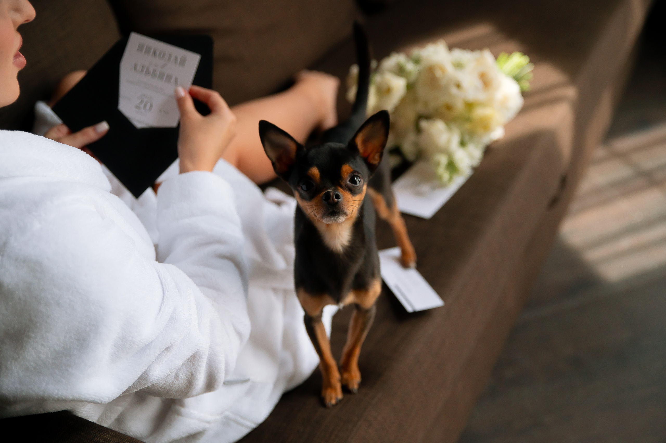 Николай & Альбина. Свадебный и семейный фотограф Екатерина Шестакова