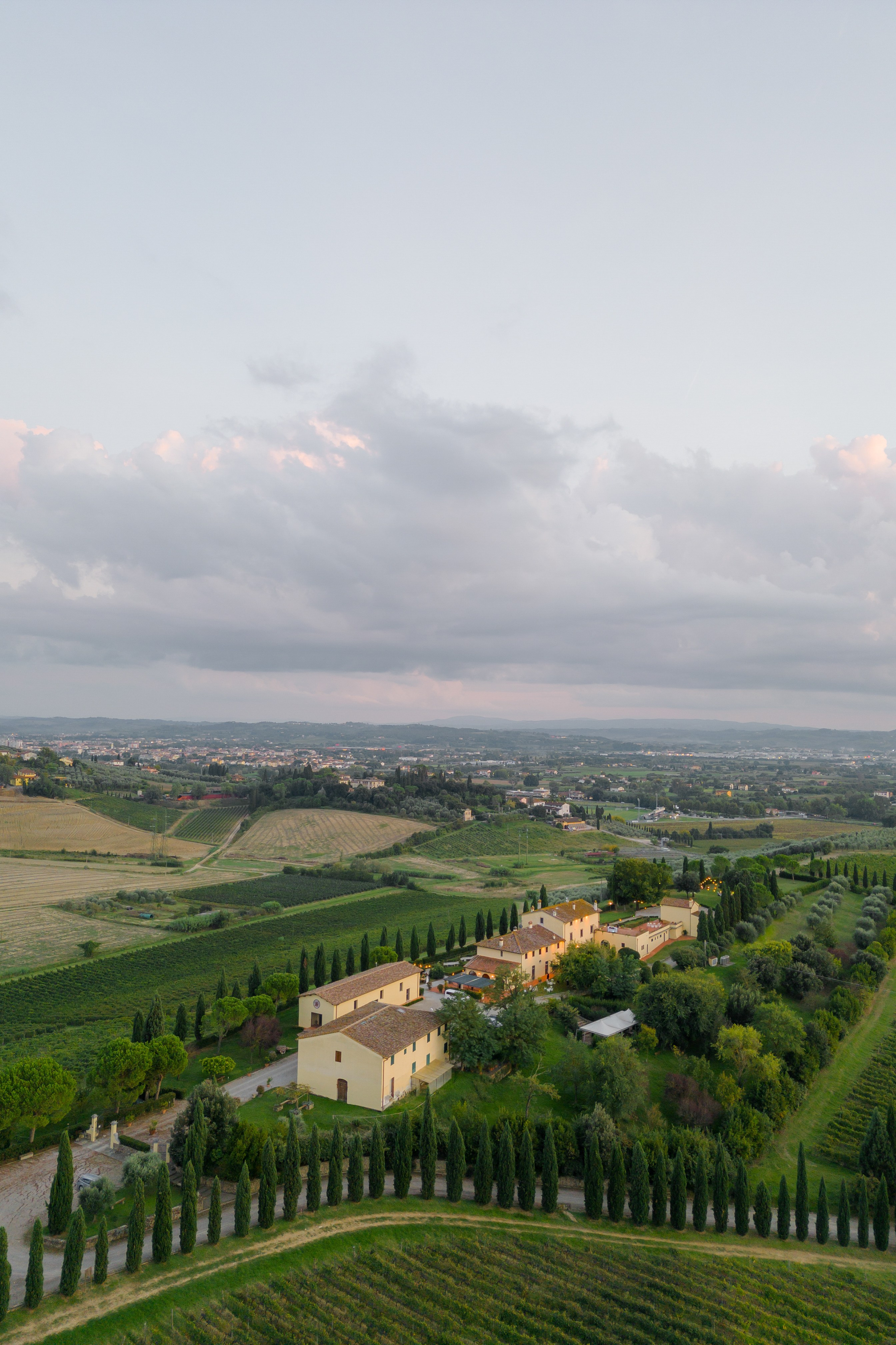 Dom&Ally. Весільний фотограф Вікторія Саврук