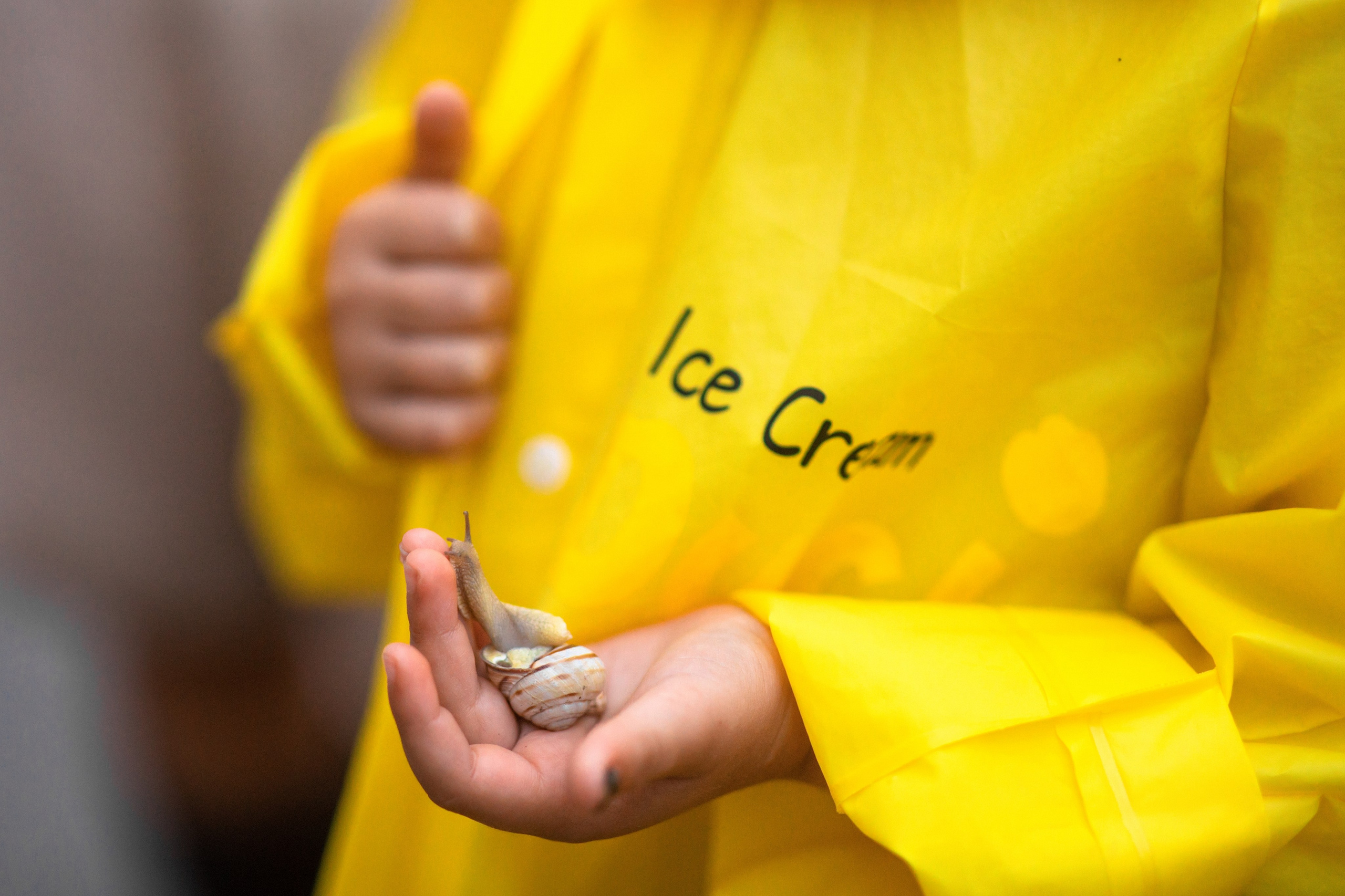 Nicolae. N.D.photograph - fotograf de familie și portrete în Republica Moldova