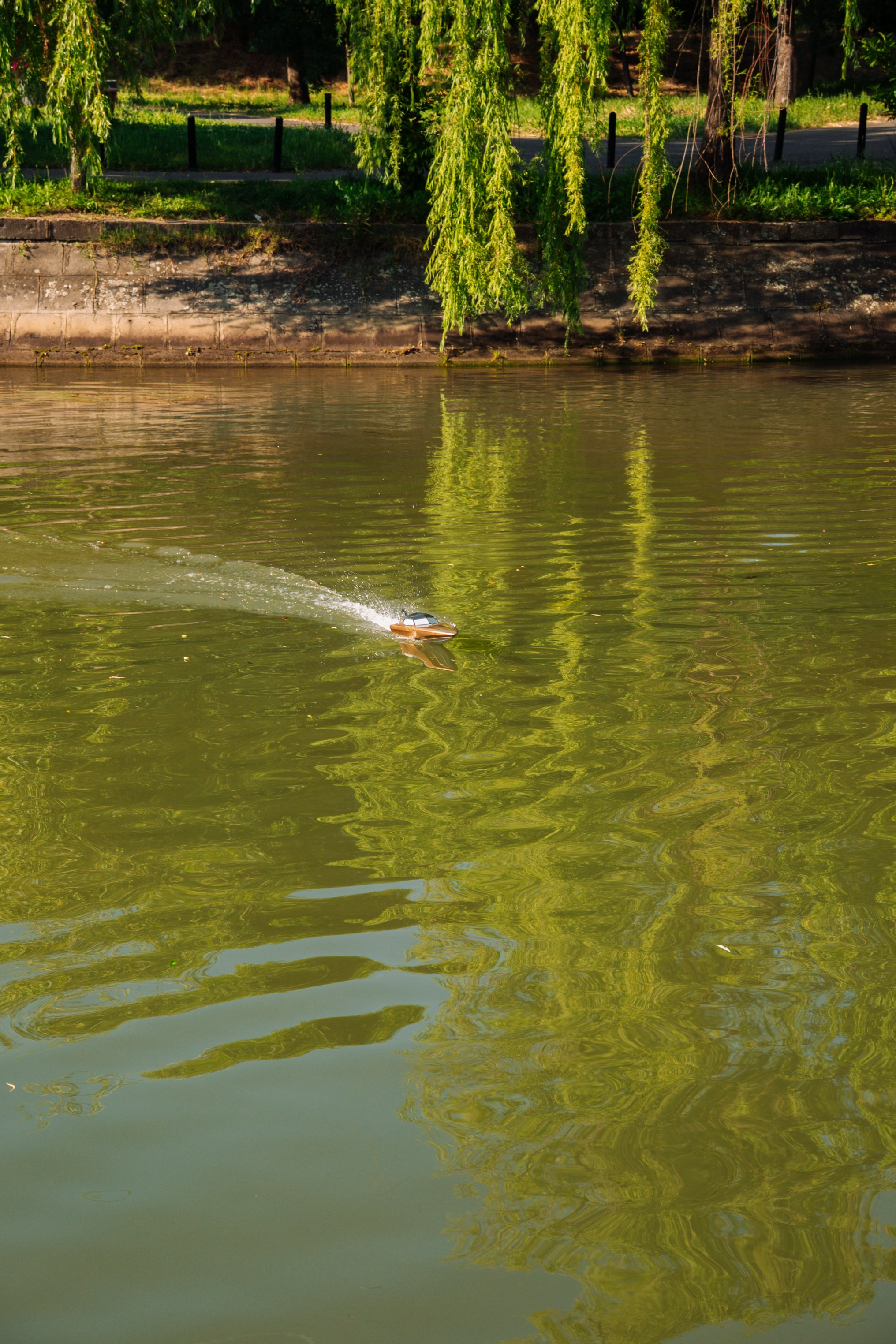 06.04 Bega Boat Race. Cozac Cristian Photographer