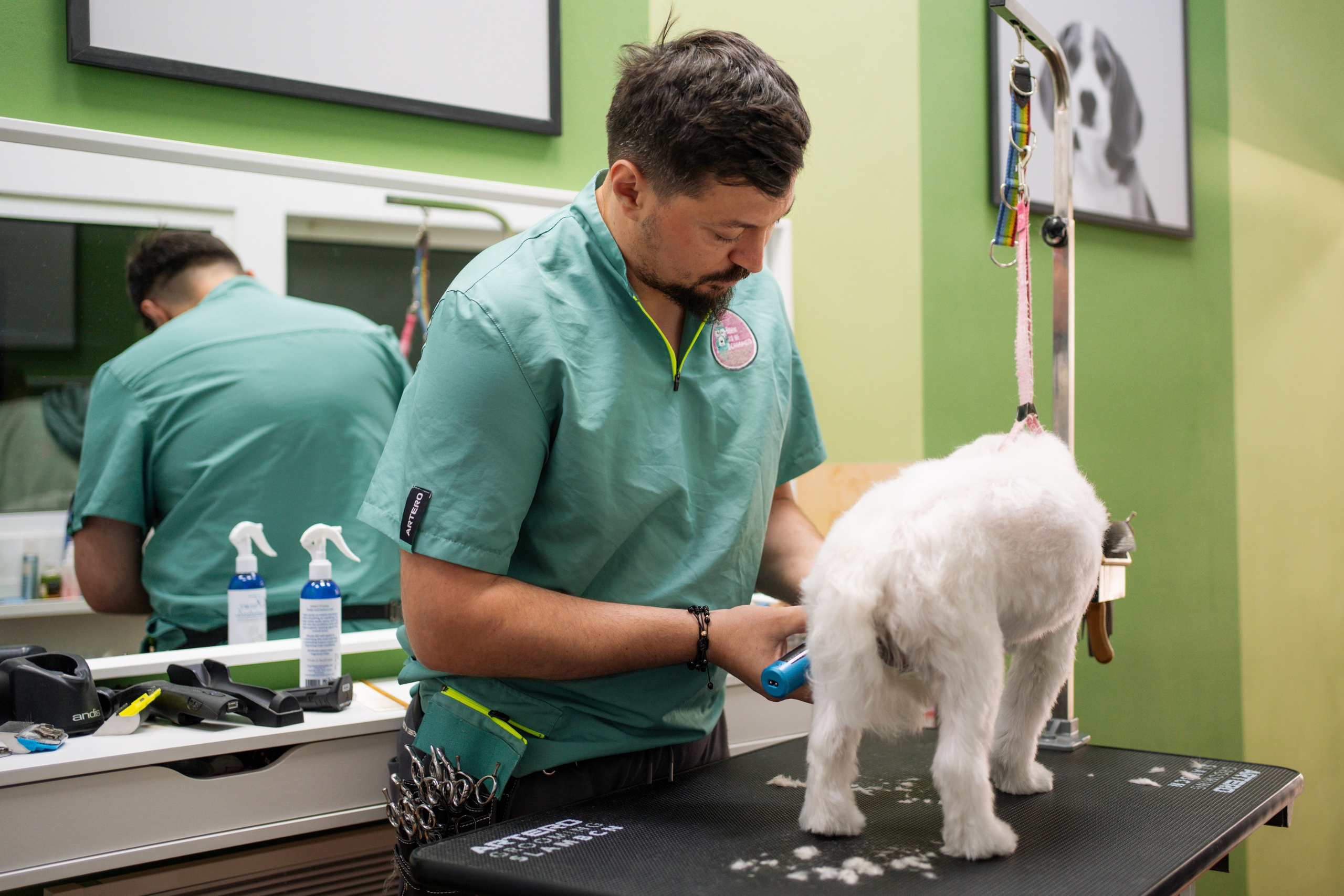 PetGroom Timisoara. Cozac Cristian Photographer