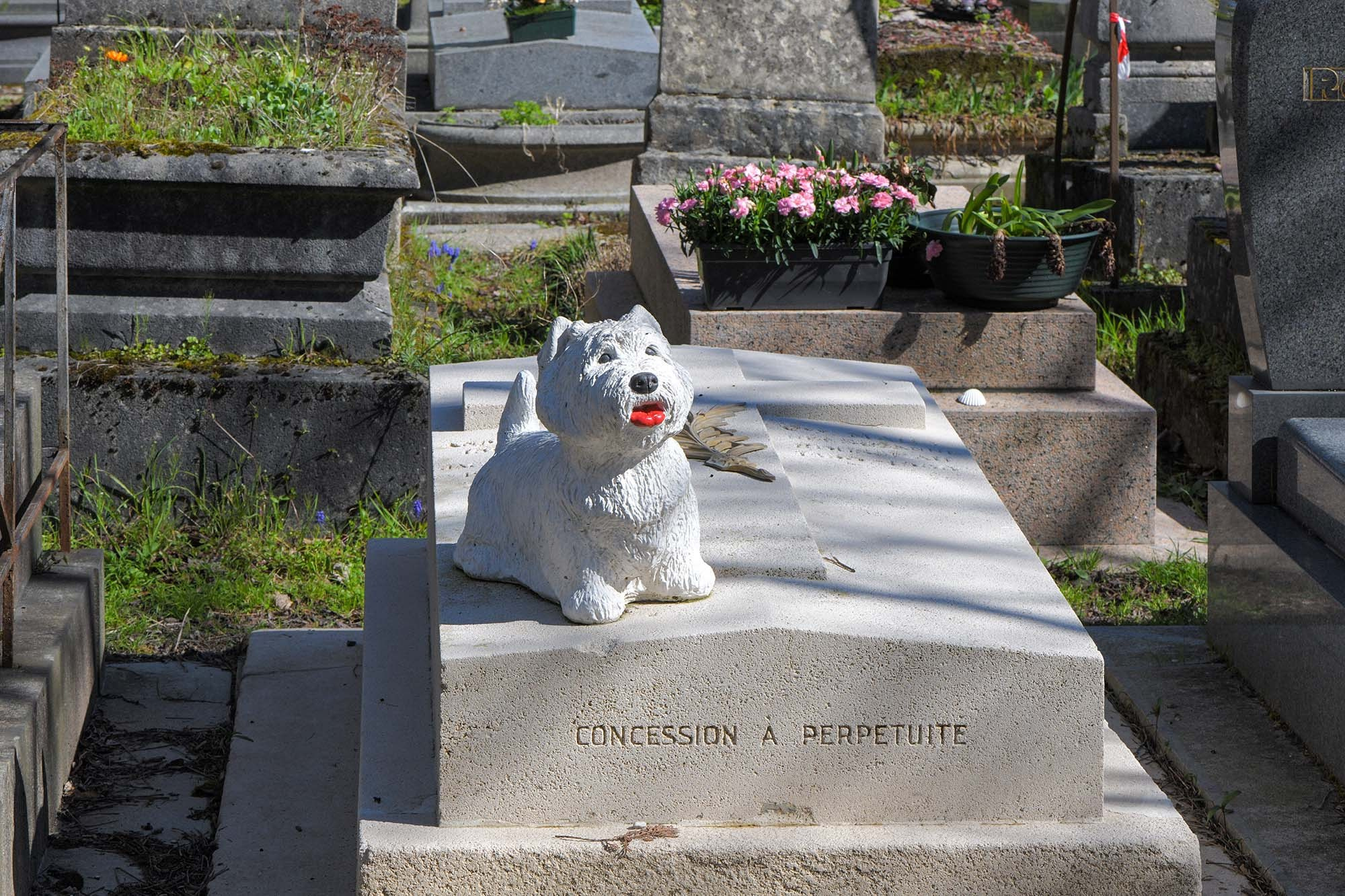 White dog statue on a grave at Père Lachaise Cemetery in Paris, France.