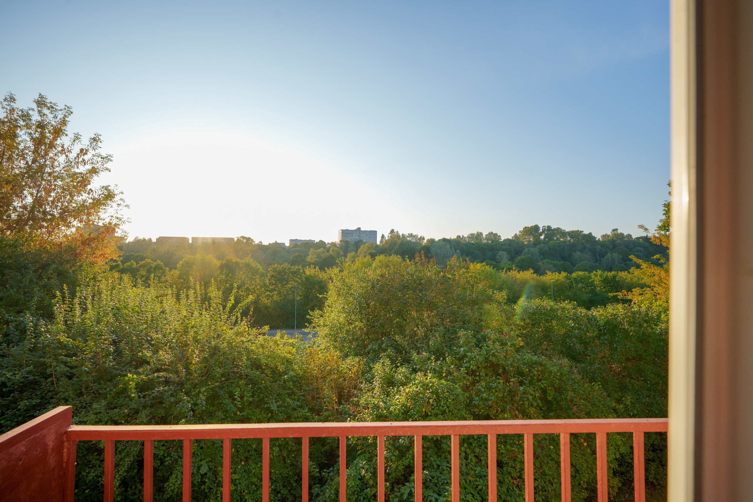 Vileišio g. 24. Elina Sapiega fotografė Vilniuje