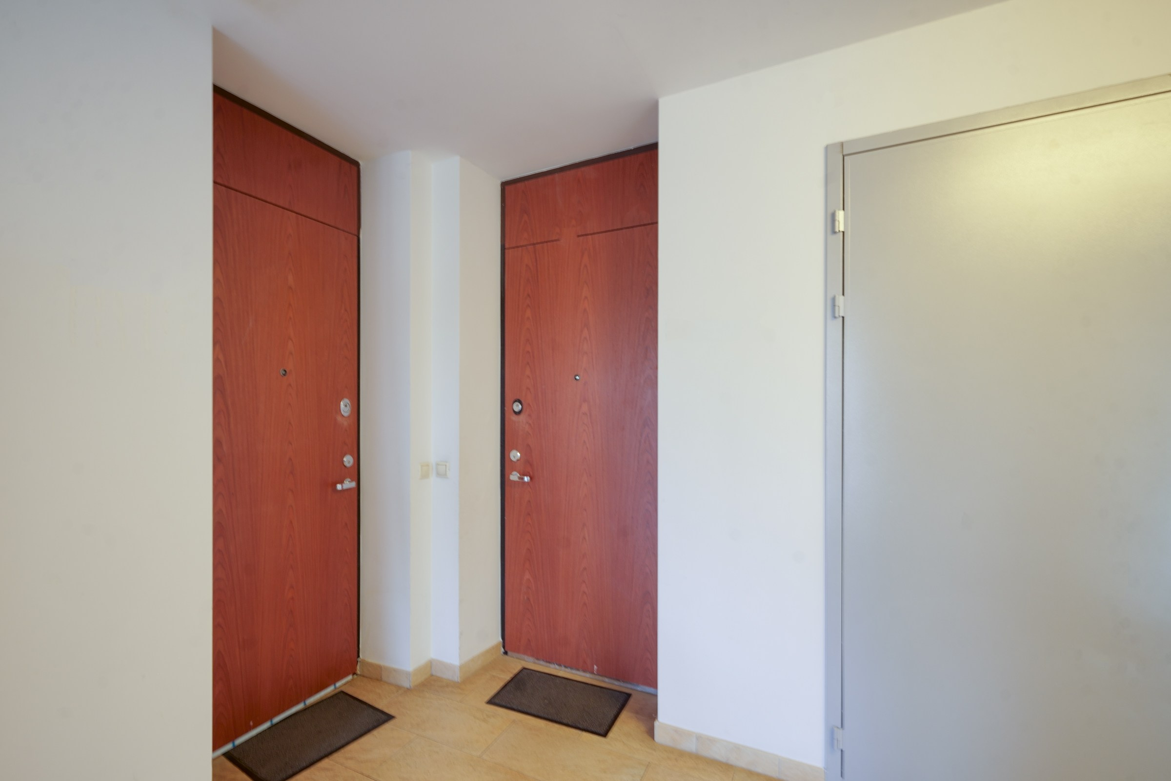 Olimpiečių 1. Elina Sapiega fotografė Vilniuje