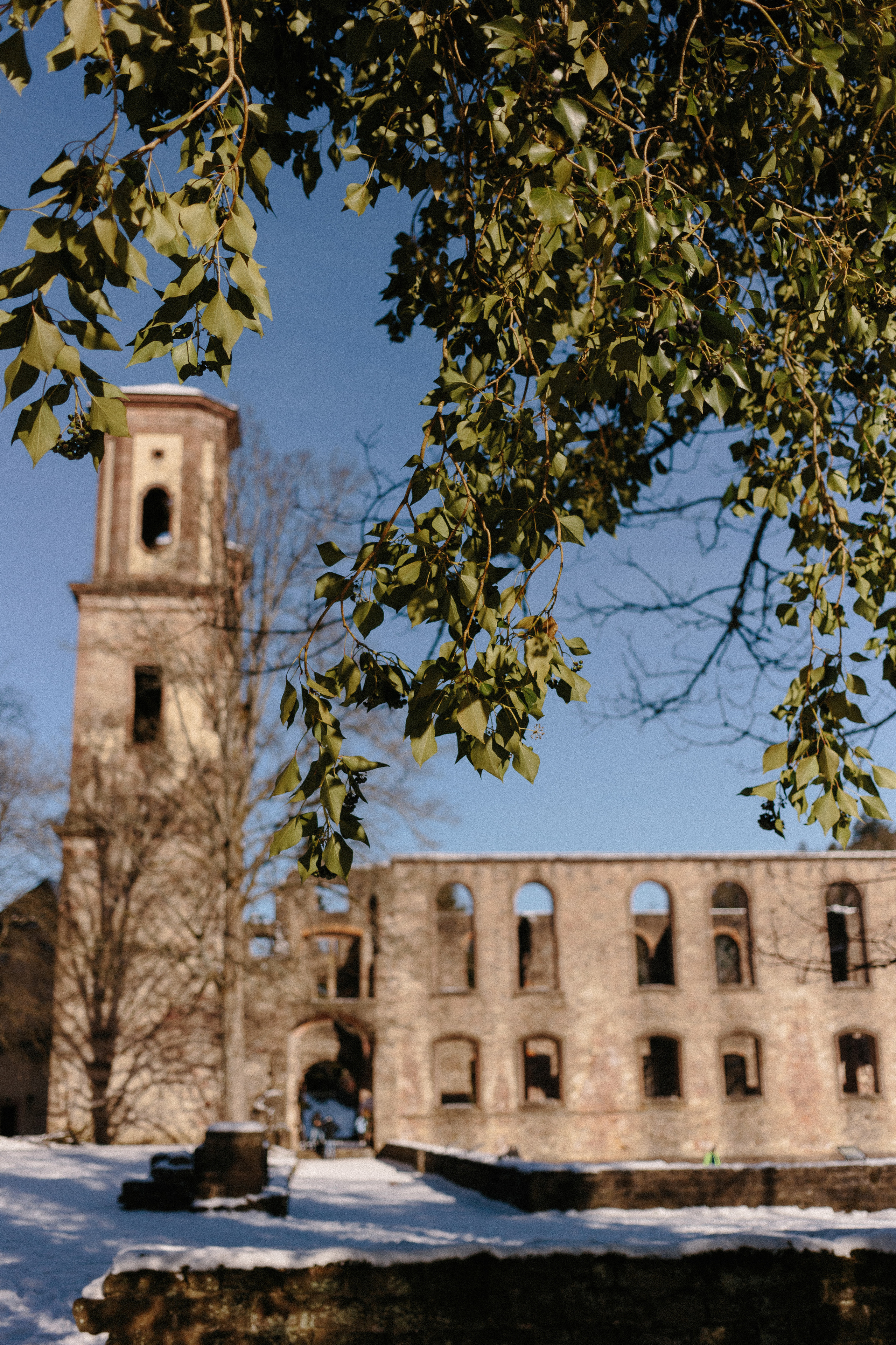Klosterruine Frauenalb. Maria Chistyakovа — Fotografin in Karlsruhe, Baden-Baden und Umgebung