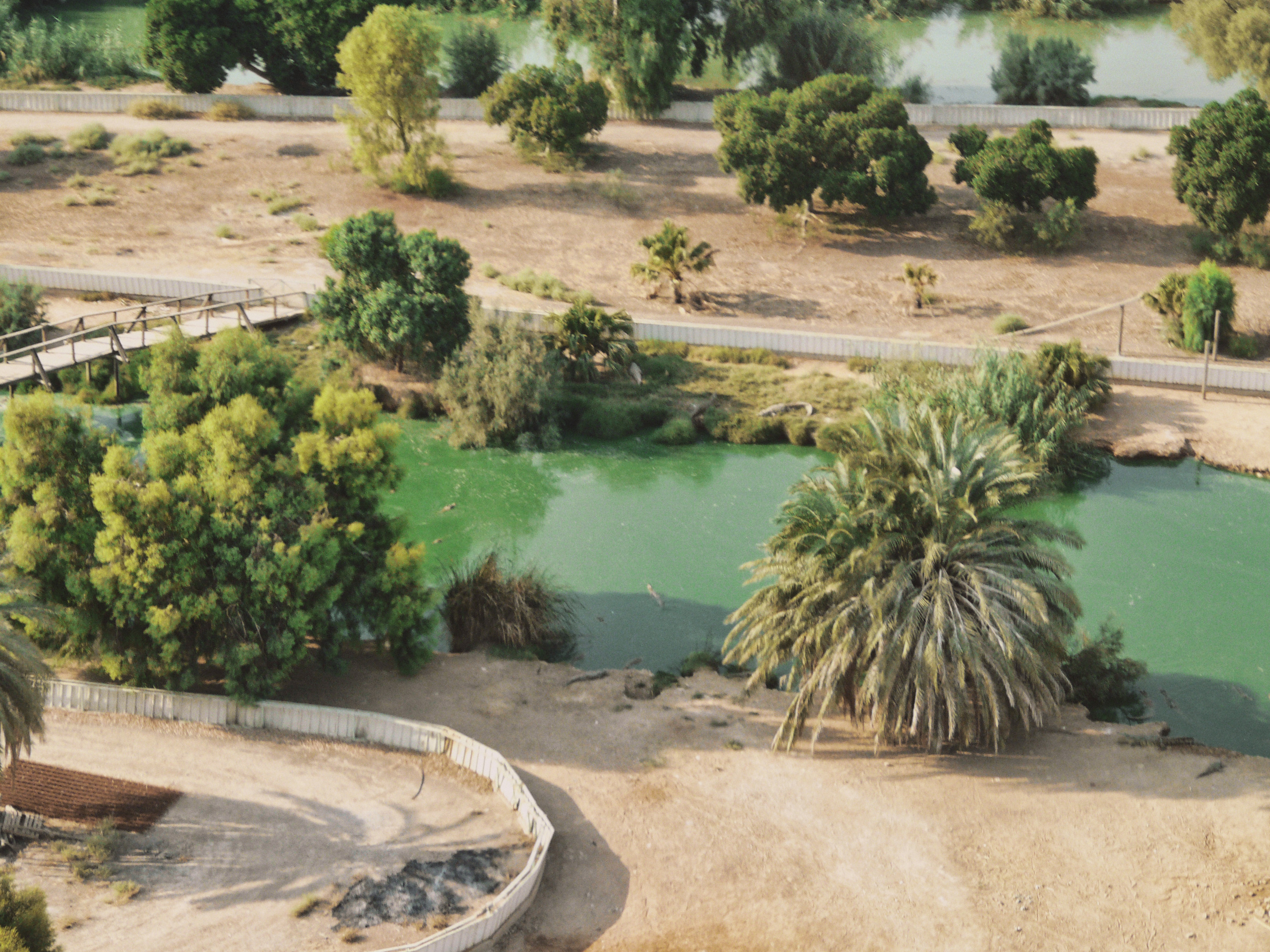 На вертолете над Израилем. Фотограф в Германии — Мария Чистякова