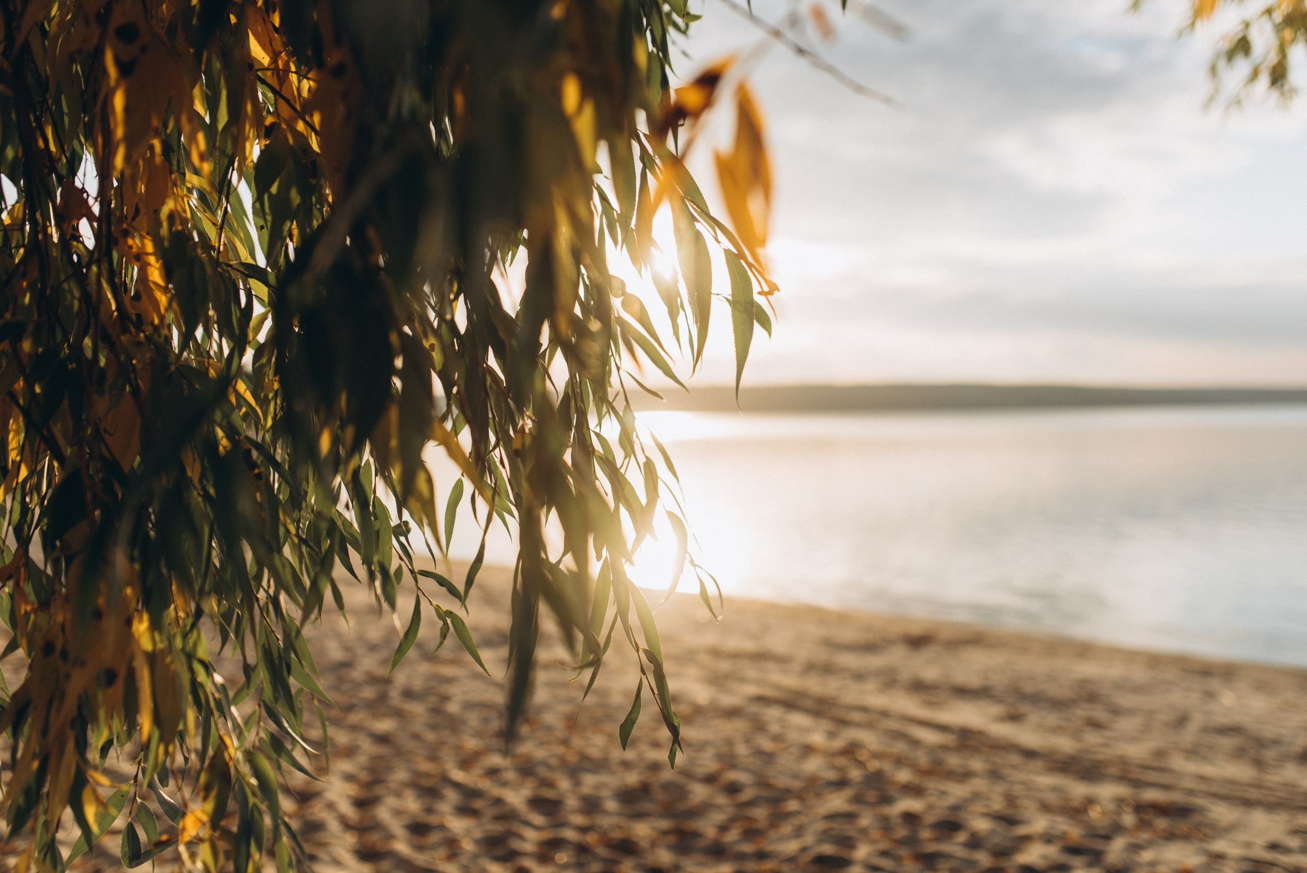 Tatjana & Mila. Familien- und Hochzeitsfotografin. Ich arbeite in Koblenz und Rheinlan