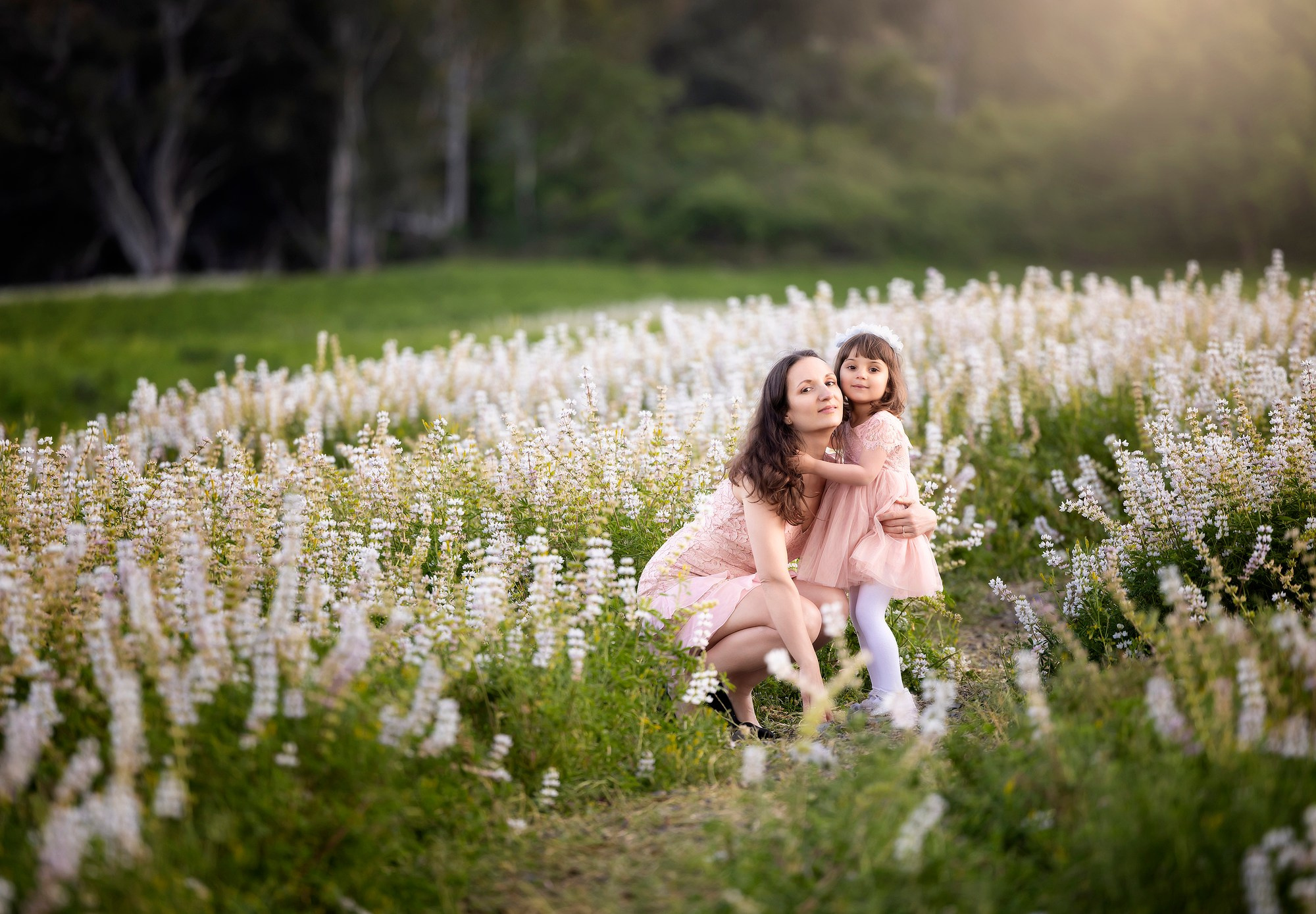 Lupines Story. Photographer is San Jose, Iryna Novosyolova