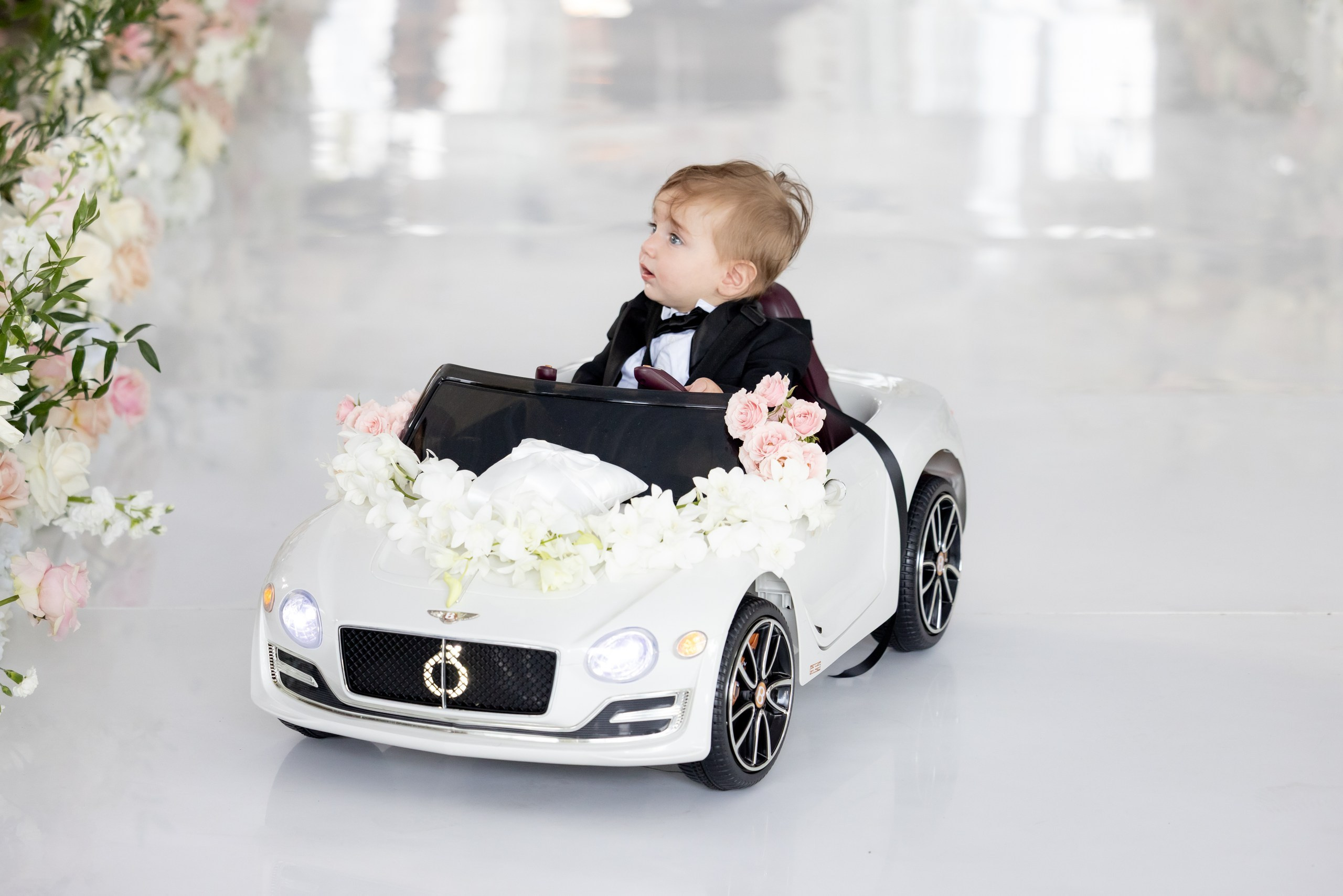 Chase & Alexander. Wedding Photo & Video